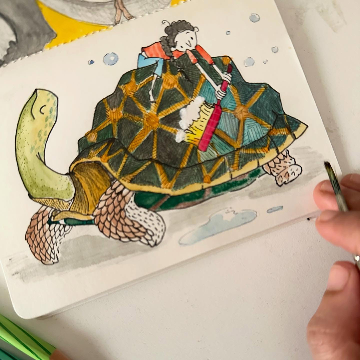 Shell cleaning ft. Indian star tortoise 🐢 🧼