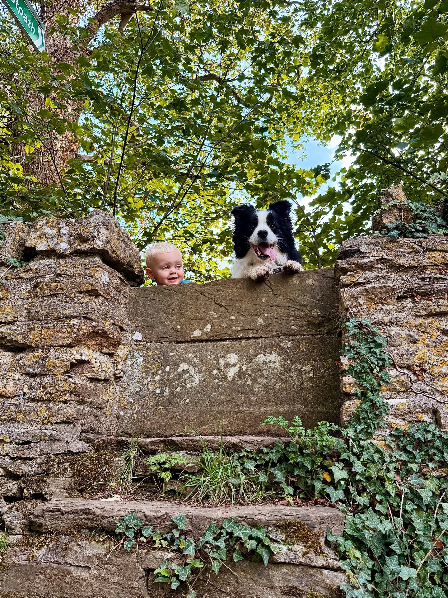 Changing seasons 🍃 🍂
#nigelthedog #dogsandchildren #kidsanddogs #bordercollie #jackcambdogs #walkies #countryside #cotswoldstone #dogwalk #getoutdoors #freshair