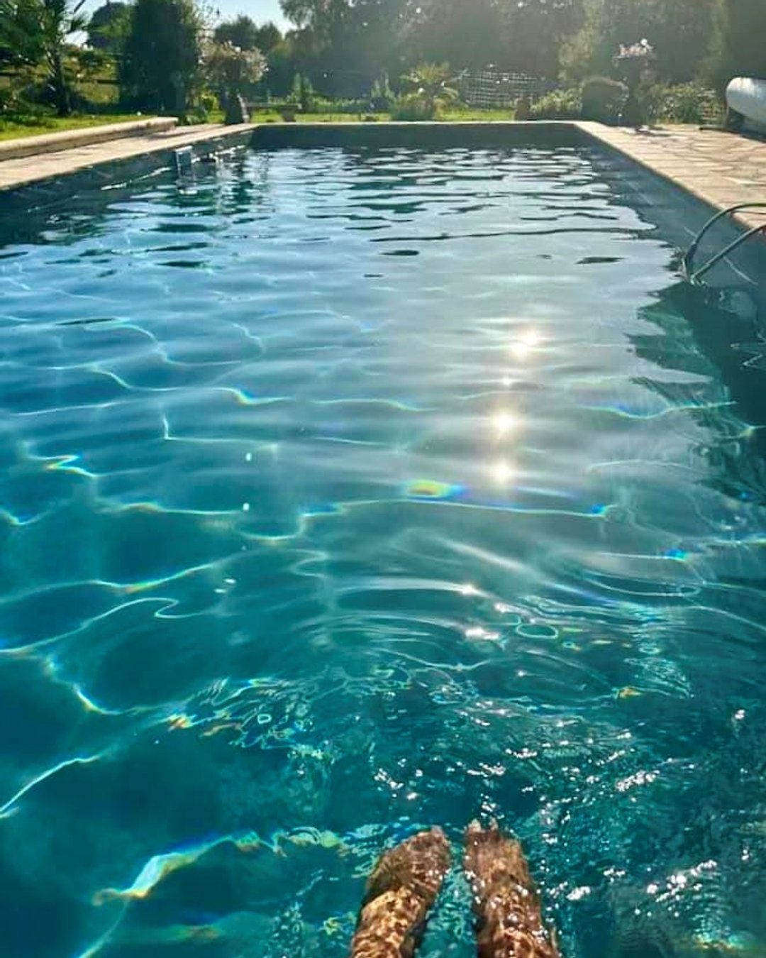 Thinking about getting your own pool? 🏊♀️ Discover the perks of having a personal swimming paradise! 🌞 Link in Bio #PoolGoals #SummerVibes #Dordogne