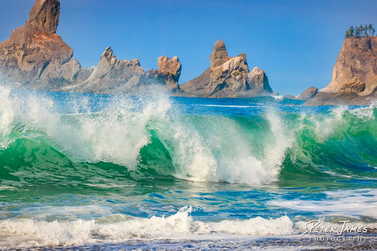 Turquoise Waves Crash on Washington’s Coast
At the north end of Shi Shi Beach, the Pacific rises in crystal turquoise, each wave cresting and folding with a power that feels eternal. This is the Olympic Wilderness Coast at its most untamed, where the ocean’s song collides with raw stone and sand. Standing here, you feel both humbled and alive, reminded of the rhythm that has shaped these shores for millennia.
#ShiShiBeach #OlympicNationalPark #WashingtonCoast #PacificNorthwest #PNWonderland #NaturePhotography #OceanVibes #CoastalEscape #FineArtPhotography #MuseumQualityArt #PeterJamesPhotography #NatureCollectors #LuxuryWallArt #HealingWithNature #PNWBeauty #LargeWallArt #NatureTherapy #OceanPhotography #PacificNorthwestArt #AwakenAwe #EnduringArt