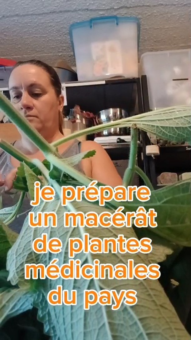 🌴😍🌿𝐑𝐞𝐧𝐝𝐞𝐳-𝐯𝐨𝐮𝐬 𝐬𝐚𝐦𝐞𝐝𝐢 🌿😍🌴
😍Retrouvez les savons, crèmes et déodorants Baebao ce samedi au marché de rivière salée
🧼🧼Suivez les stories Baebao pour découvrir un peu plus les marchés et les produits qui s'y trouvent !🧼🧼
🍃Baebao prend soin de votre peau pendant et après la douche.💚
Tout savoir sur les savons ou les distributeurs👉 https://www.baebao.com
#NouvelleCalédonie #savonveganetresponsable #baebaolesavonquilmefaut #baebaolesavonquiltefaut #baebaolesavonquilvousfaut #baebao
📷la préparation du macérat