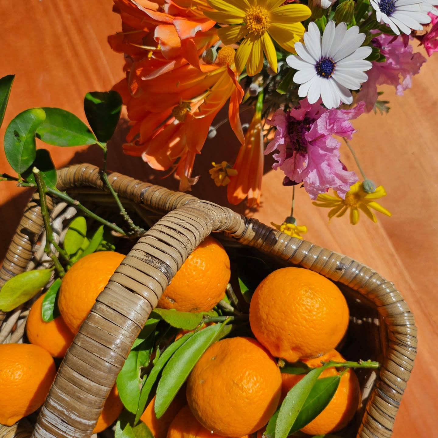 Random photos from the past week🐥
.
.
.
#gardeningobsession #farmliving #farmlife #farming
#mindfulliving #simplepleasures #cottagegarden #camdennsw #farmgirl #farmtotable #gorgeousfarm #beautifulfarmhouse #lookwhatigrew #homegrown #homemadecakes #flowers #tractor #babychicks #frizzlechicken #homemademarmalade