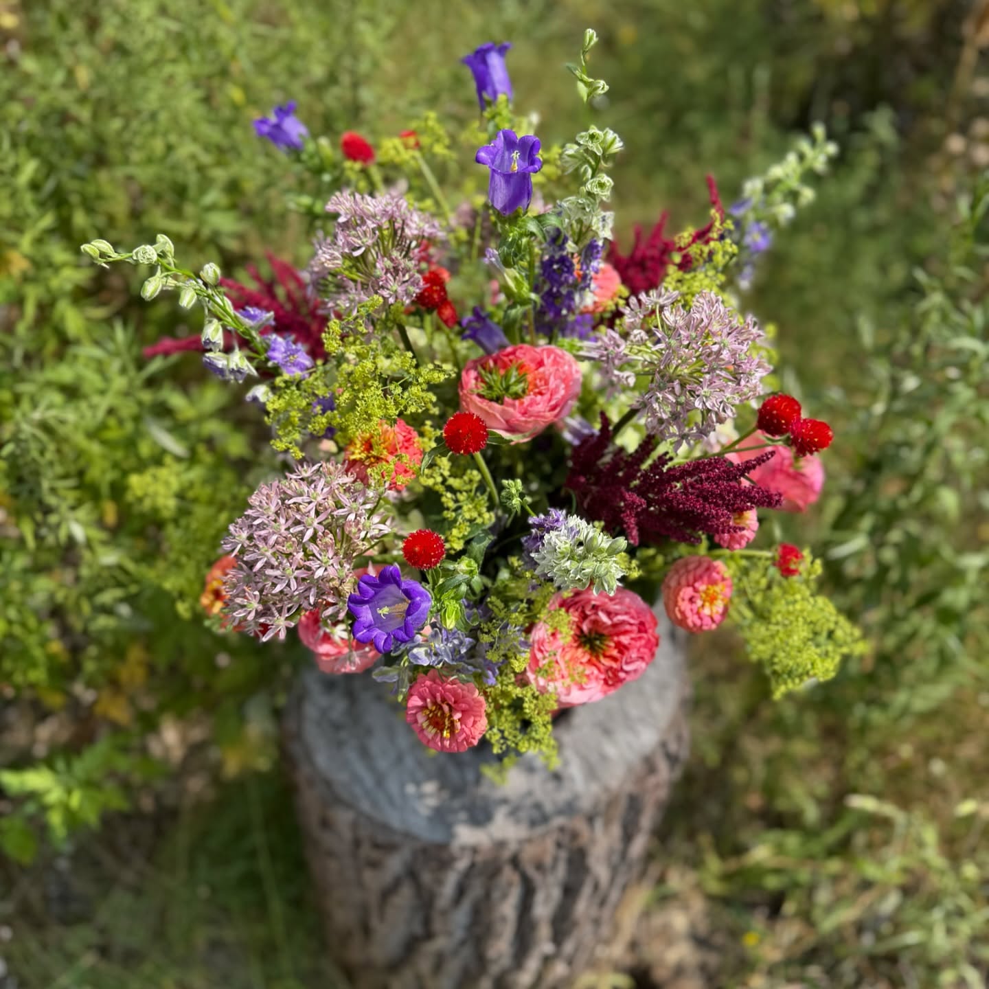 Throwback Thursday to summer blooms โ๏ธ๐ผ๐
Fall blooms are dropping to our social very soon!!!
Place your fall special occasion orders now! The first Homecomings of the season are Friday! We are still accepting all Homecoming orders too!! ๐ธ๐โจ
#mygardenfloral #florist #pittsburghflorist #pittsburgh #foxchapel #glenshawpa #floral #floralarrangement #throwback #summer #summer2025 #fall #fall2025