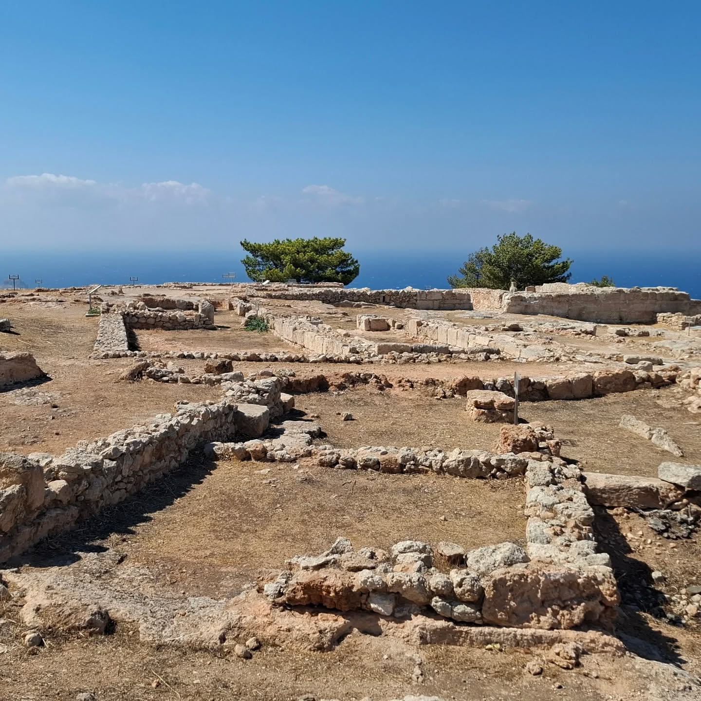Vouni Palace is a breathtaking ancient treasure, in the hills near Lefke, offering stunning views of the sparkling Mediterranean Sea.
Yes we offer sightseeing tours as well
Contact us for bookings and enquiries
.
.
#lefke #northcyprus #kuzeykıbrıs #islamictravel #halaltravel #halaltraveler #muslimtravelers #muslimtravel #muslimtraveller #muslimtraveler #muslimtravelgirl #simpledervish #islamictourism #lifeinlefke #sufitour #sufi #sufivibes #sufism #sufisme #sufis #sufitariqa #sufism #muslim #naqshbandialiyyah #naqshibandi #nakshibandi #tariqatnaqsyabandiyah #tariqatnaqshbandialiyya #naqshbandi #naqshbandisufi #naqshbandihaqqani