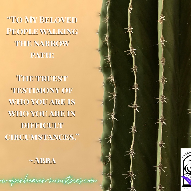 If you are here, know you are in good company. We feel you, and we are praying for you. You got this with the Lord within you. And when you are done, you will be gold. Don't lose heart...
www.openheaven-ministries.com