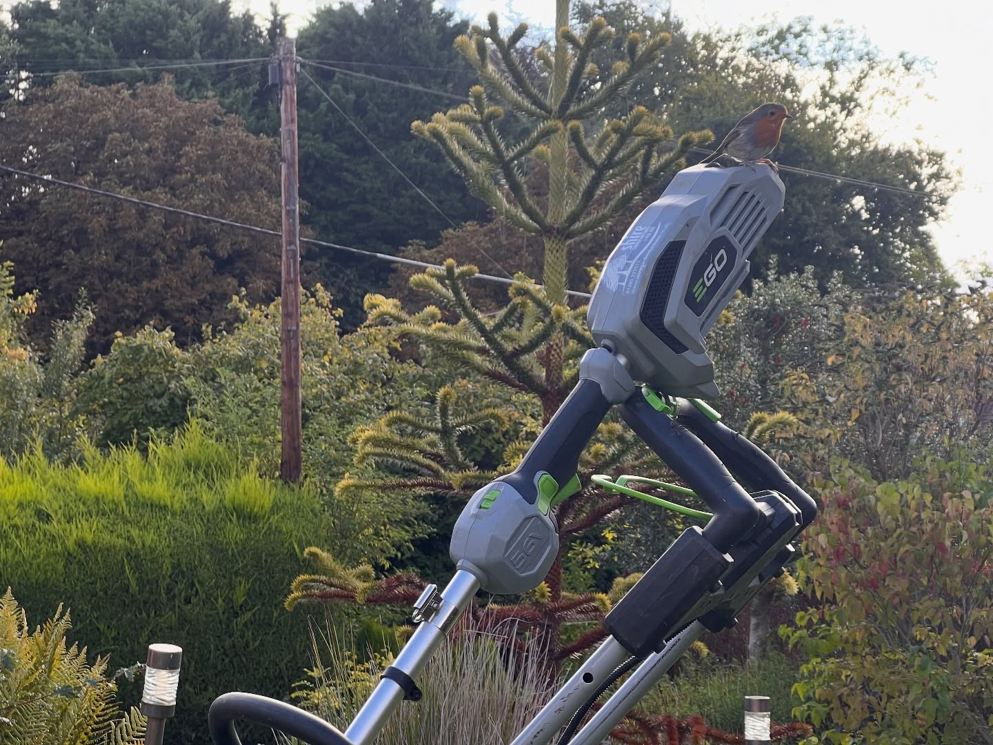 ✨🌿 This was such a wonderful shot! 🌿✨
Out in the garden this morning with the EGO electric mower and strimmer – and look who decided to join me… a little Robin perched right on the strimmer! 🐦💚
There’s something so peaceful about using electric tools: quiet, smooth, and so much kinder to the mornings (and the neighbours too 😉). No fumes, no noise – just me, the fresh air, and the sound of nature. 🌱🍃
Moments like this remind me why I love going electric – it’s better for the planet, better for wildlife, and honestly just a joy to use. ✨⚡️
#GardenLife #ElectricPower #SustainableLiving #EGO #EGOelectric #QuietPower #Robin #GardenWildlife #EcoFriendly #MorningVibes #NatureLovers #GardenTools #PeacefulGardening #GreenLiving 🌍💚