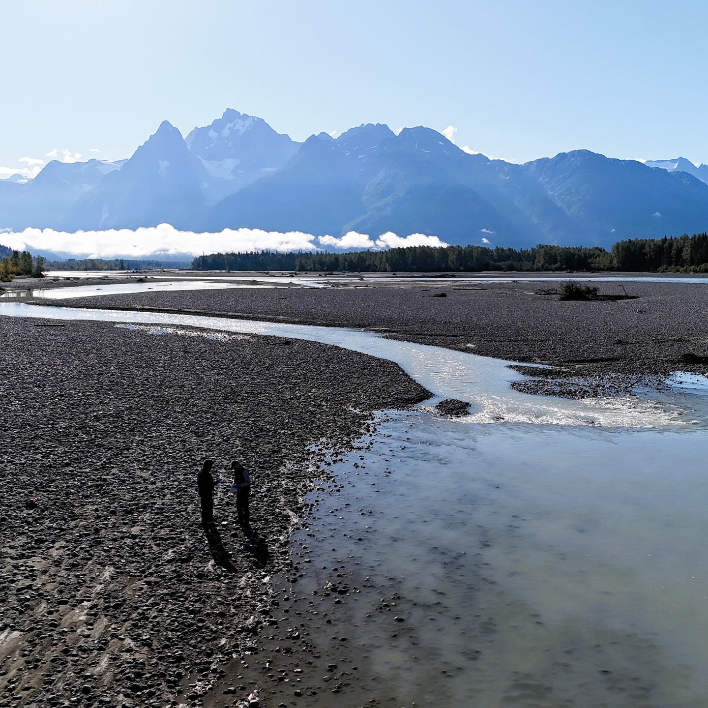 Inspiring landscapes, great people, and ... salmon!
Field posts as part of the Taku Salmon Resilience Initiative 🐟⛰️
.
.
.
#salmon #research #fieldwork #taku #resilience #initiative #inspiring #fisheries