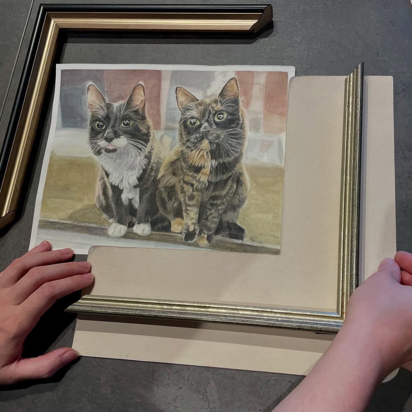 @amyschubertart processing options for a commissioned pet portrait she just completed. Great job!! #petportrait #cats #customartframing #shopsmall #supportartists #watercolorpainting #tuxedocat #tortoiseshellcat #originalart #amyschubert