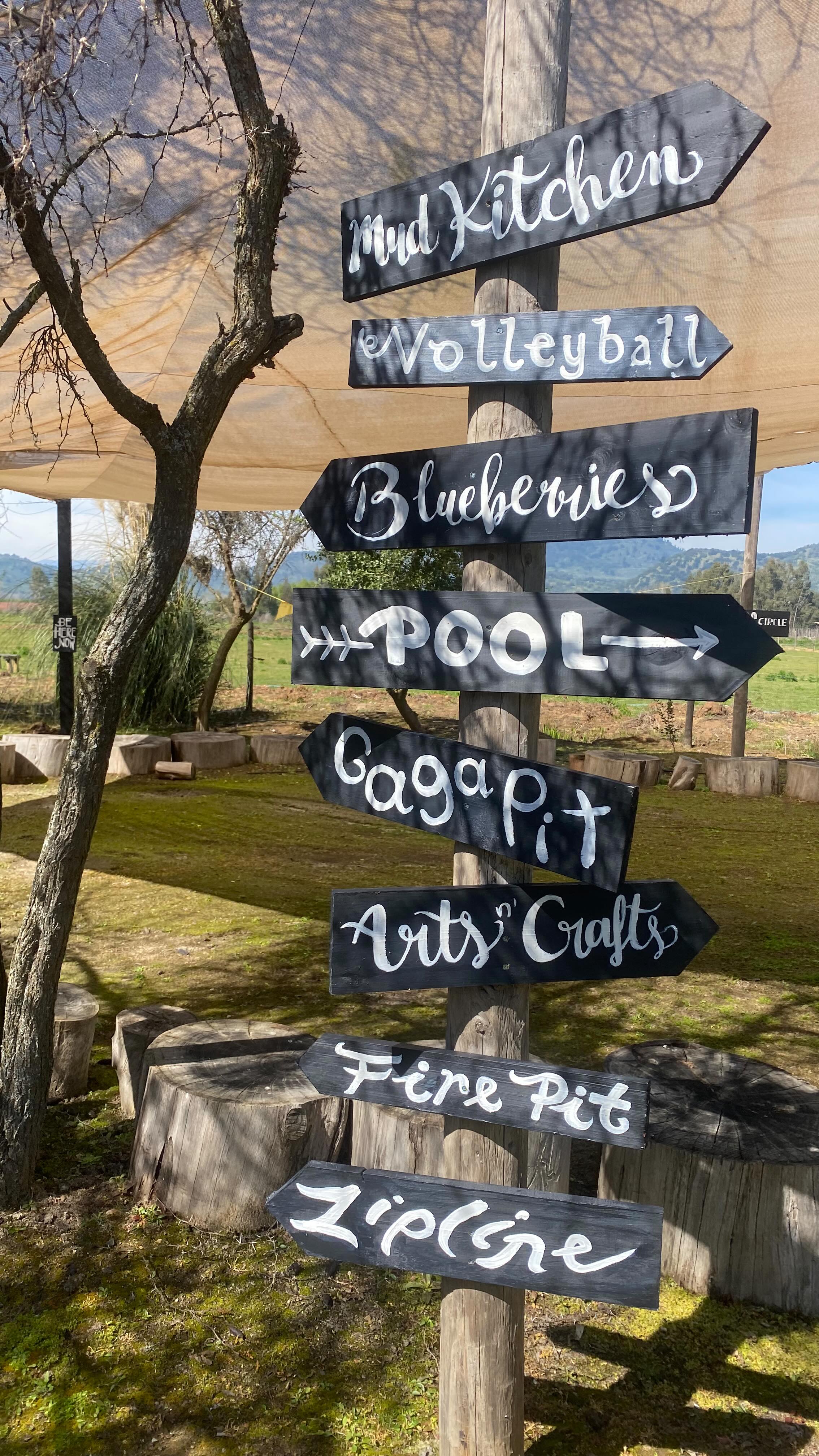 Camp Mákemáke memories - come and make some of your own this summer!
Register link in bio!
#campmakemake #summercampchile #campfun #campingchile #verano2025 #chile #prefieroelmaule