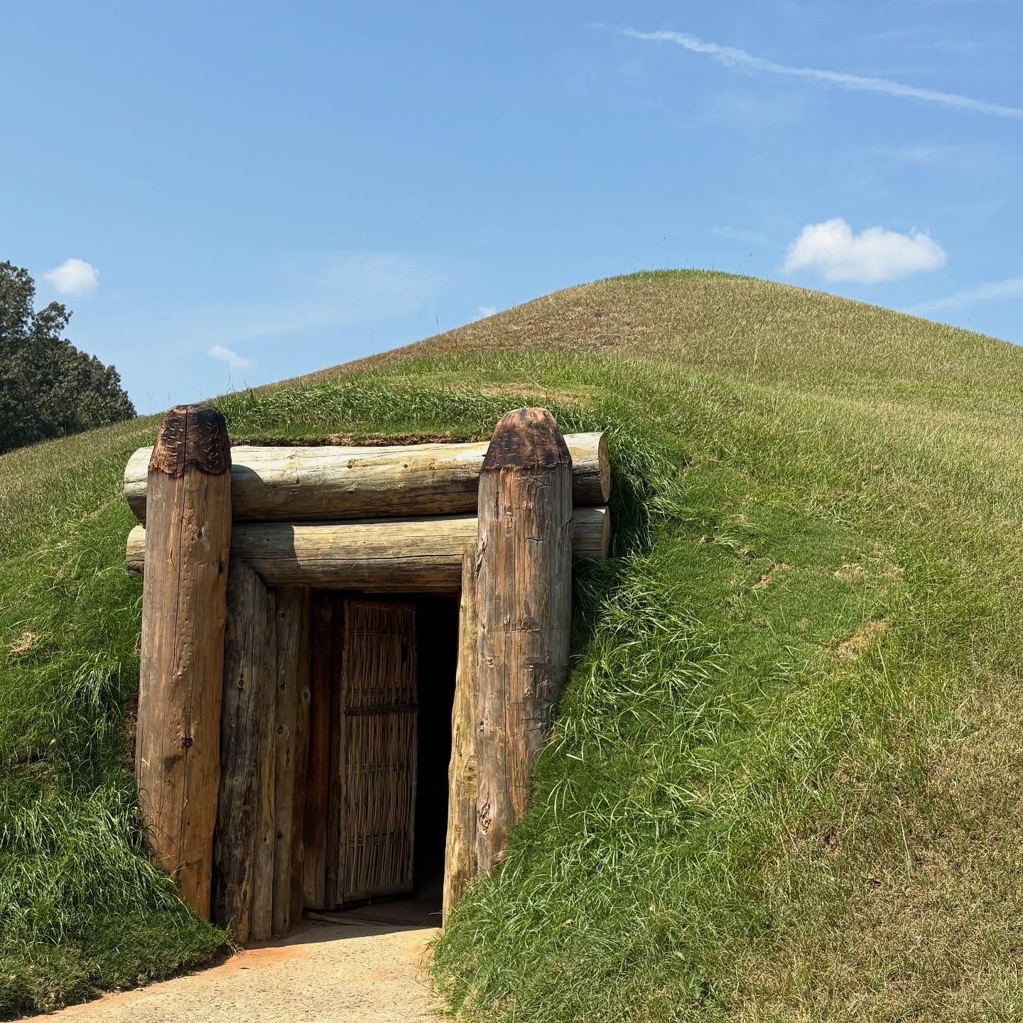 Walking the trails at Ocmulgee Mounds means pausing often—this beauty will stop you in your tracks!
#ocmulgeemounds #visitmacon