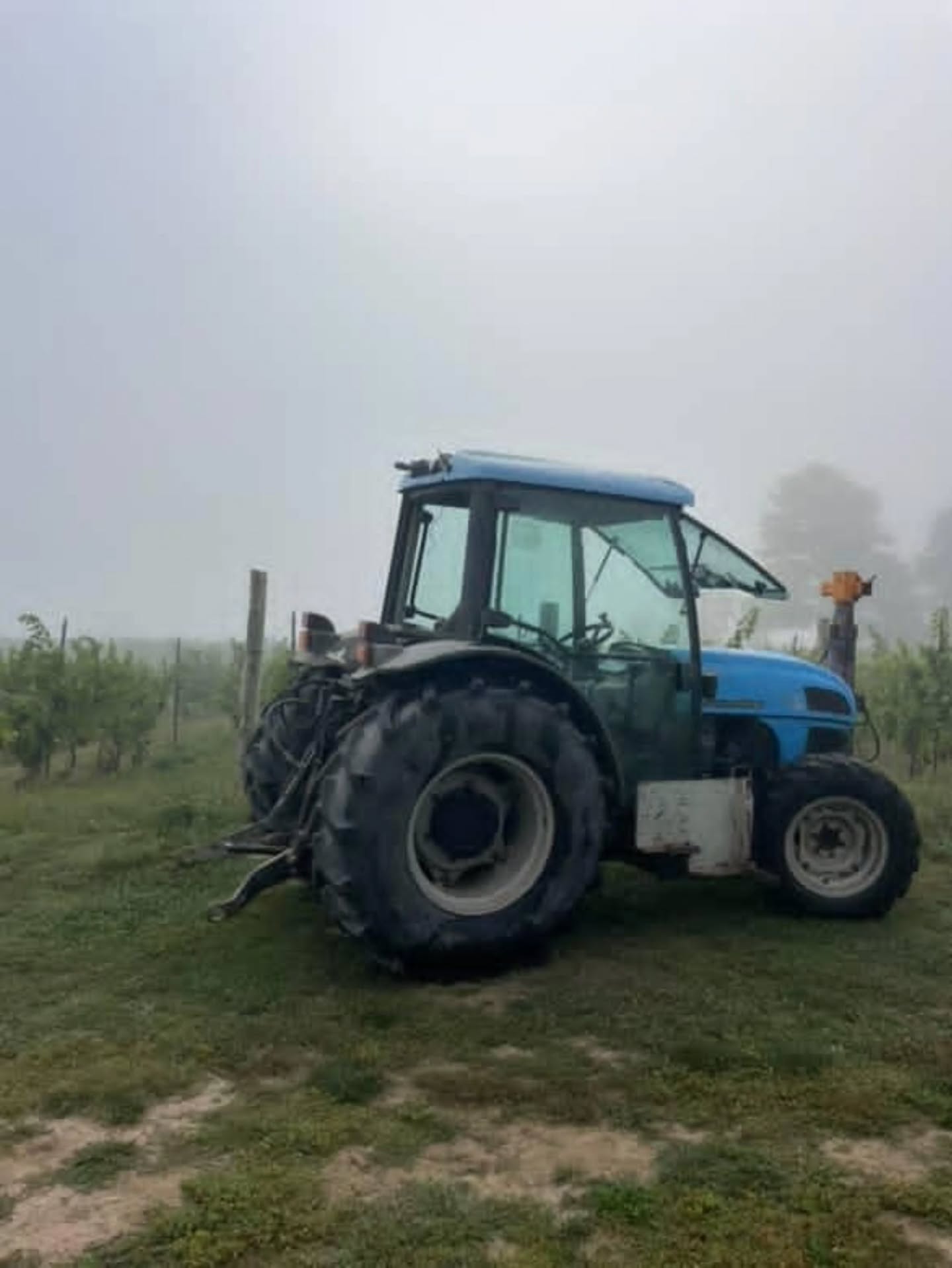 Harvest season has officially begun! 🍇
Our Muscat Osceola is the first to come off the vines and is now happily fermenting in the cellar.
Here’s to the start of another delicious vintage!