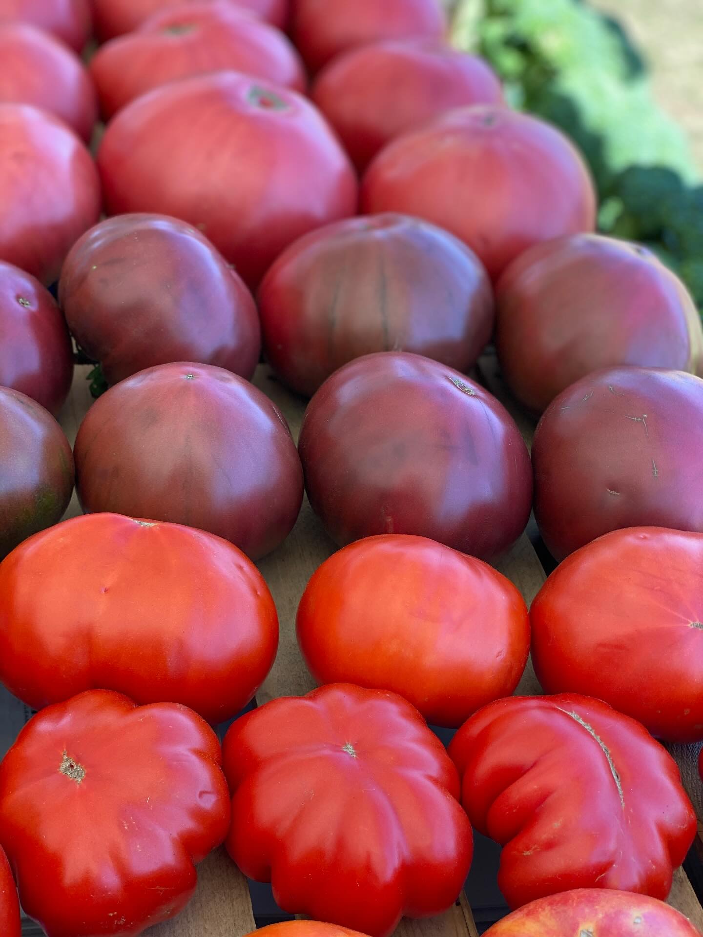 Enjoy your last fill of summer this weekend before the season changes on Monday.
Find us at both our markets:
Friday, 2-7pm, @mounthoodfarmersmarket, downtown Sandy near Dairy Queen
Saturday, 8:30-2, @greshamfarmersmarket, downtown Gresham and at the Arts Plaza
#sliceofheavenfarm #seeyouthere