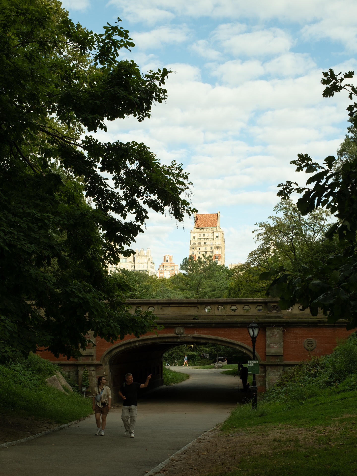 Central Park views (eventually this just becomes photos of the dogs of Central Park)