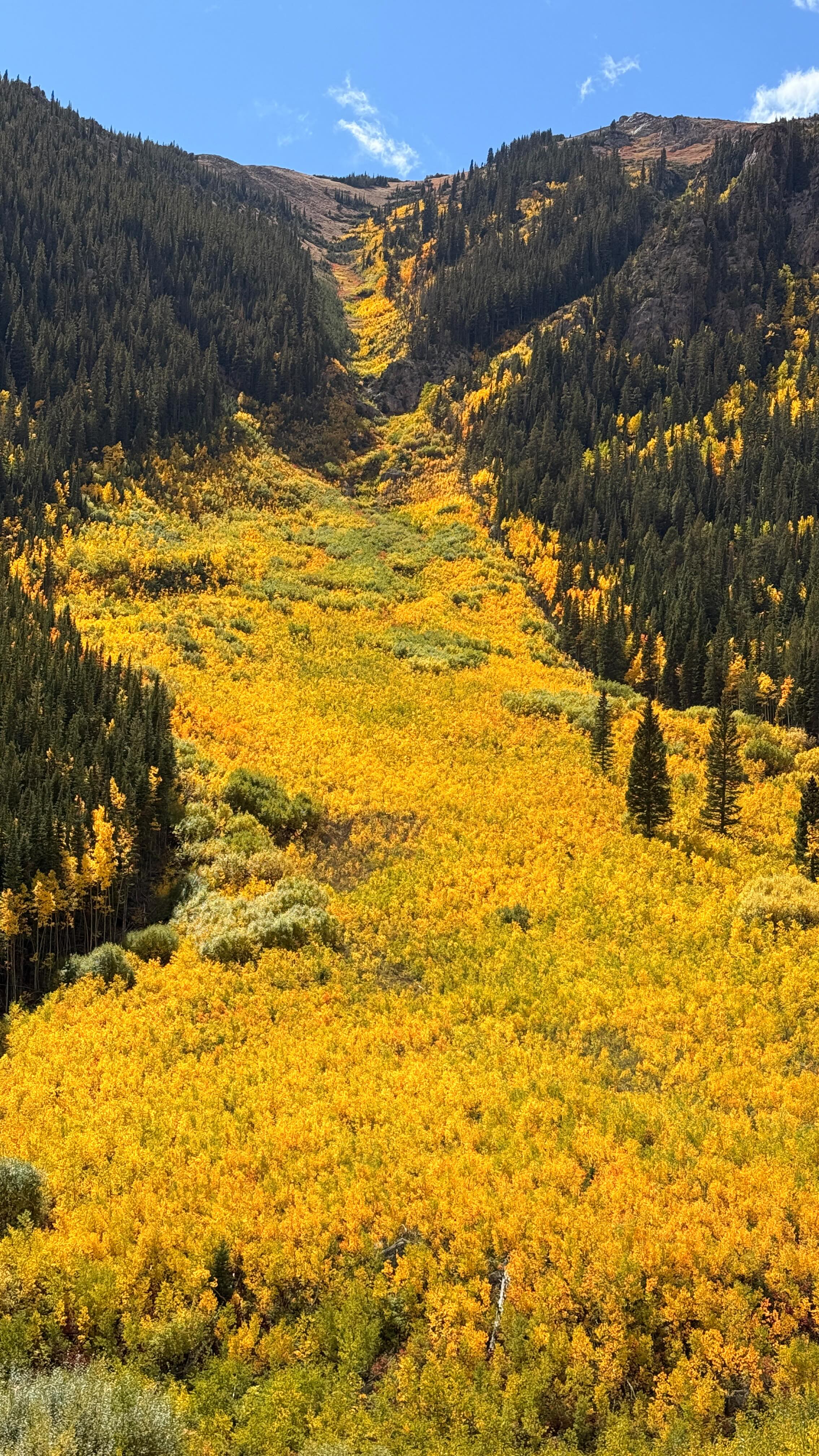There are times when I miss traveling full time… fall in Colorado is not one of them.
#worldschooling #worldschoolingfamily #theeverywhereclassroom #adventureawaits #wanderlust #coloradolover #fallinthemountains #autumnvibe #fallcolors🍁🍂 #fallcolor