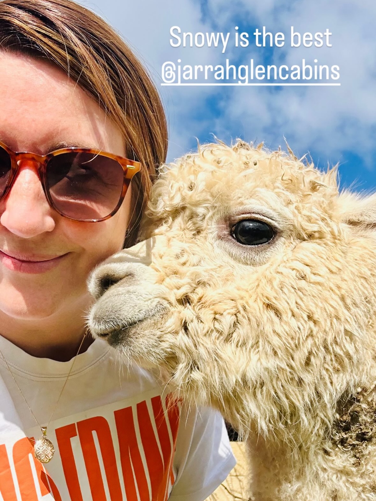 Who doesn’t love a good Alpaca ‘Snow’ selfie! 🦙🦙
He’s such a good boy!
#wildinourheart #alpaca #southwestwa #westernaustralia #farmstay #fyp