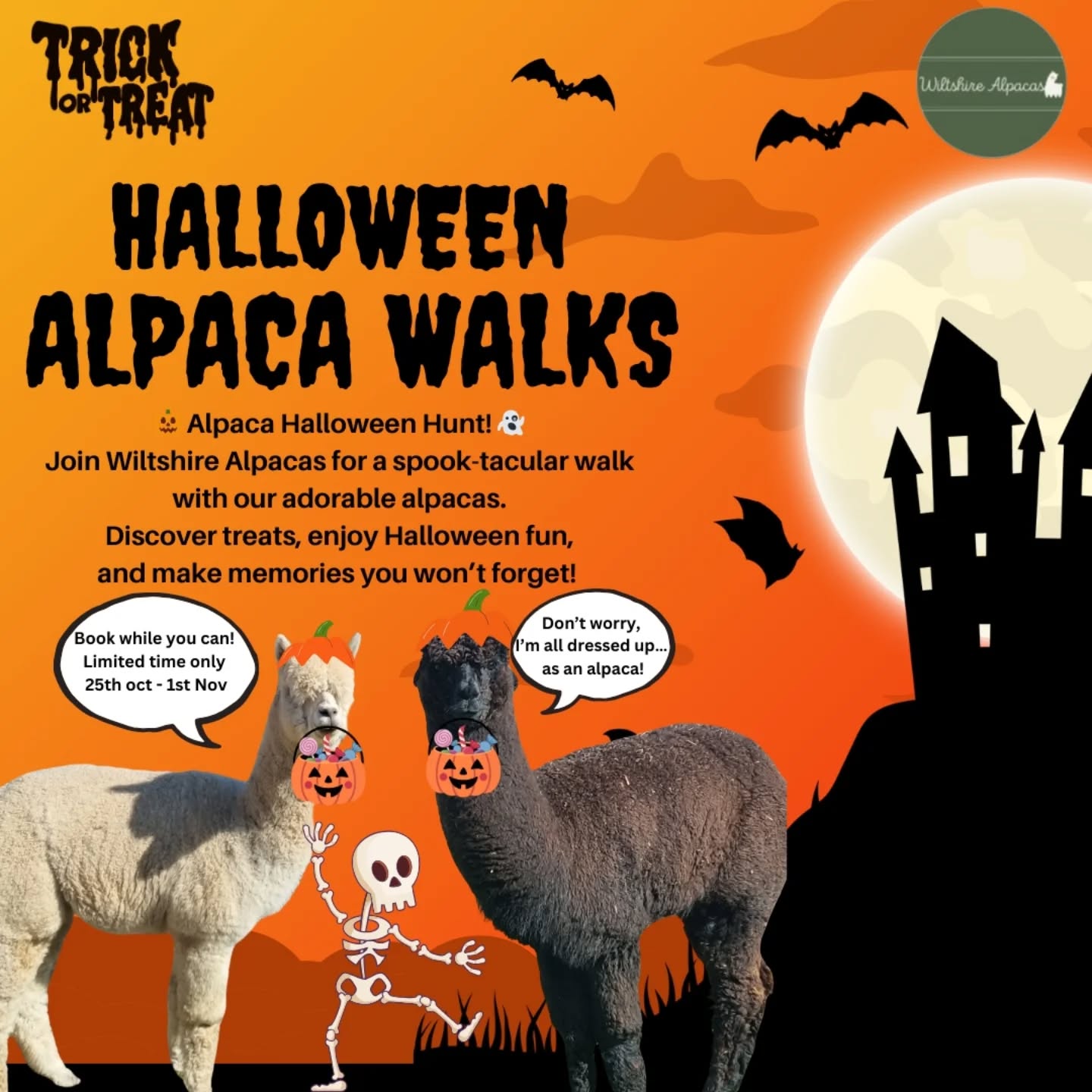 🎃👻 Spooky strolls + cute alpacas = the Halloween treat you didn’t know you needed! 🦙✨ Book your haunted walk today!
#alpacalove #alpacaexperience #alpacaadventures #alpacas #alpacatrekking #alpacawalking #wiltshireadventures #wiltshirealpacas #halloweenhunt #trickortreat #naturewalks #naturelovers