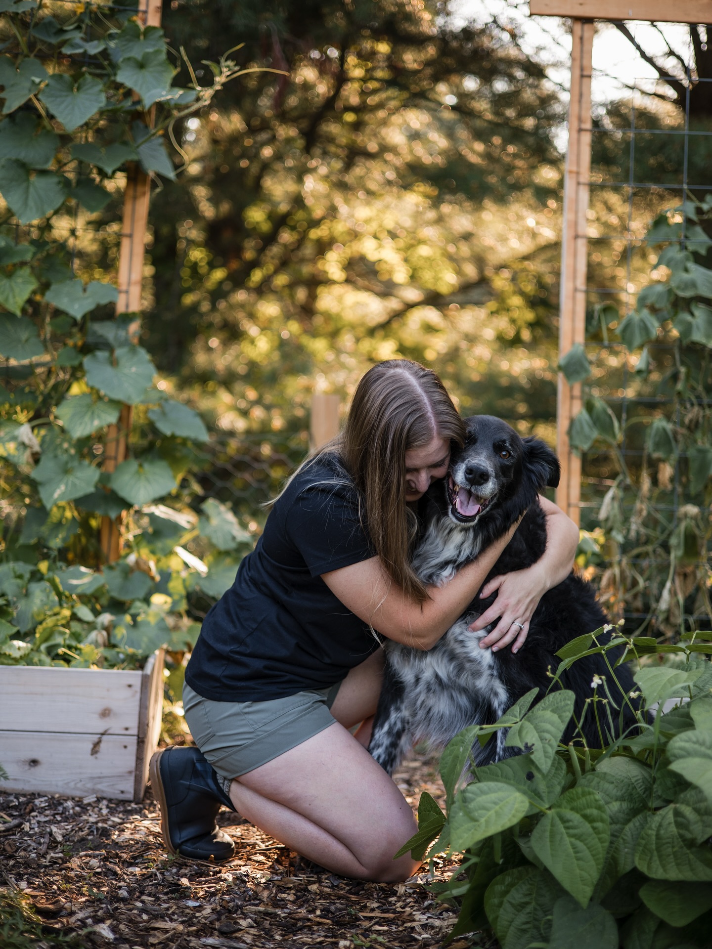 Each year I’ve grown carrots without fail, as soon as they come out of the garden, my almost 10 year old pup Guinness turns into a sneaky little carrot thief. 🥕🐾
It’s now his favorite harvest tradition, and honestly, I wouldn’t have it any other way. Watching him enjoy his heist and crunch away reminds me that these moments-dirty hands, fresh veggies, and a loyal dog at my side are the sweetest parts of homesteading. 🧡
(As long as he doesn’t puke 😅)
📸 @danaterrise_photography
#homestead #homesteaddog #dogsofinstagram #carrotthief