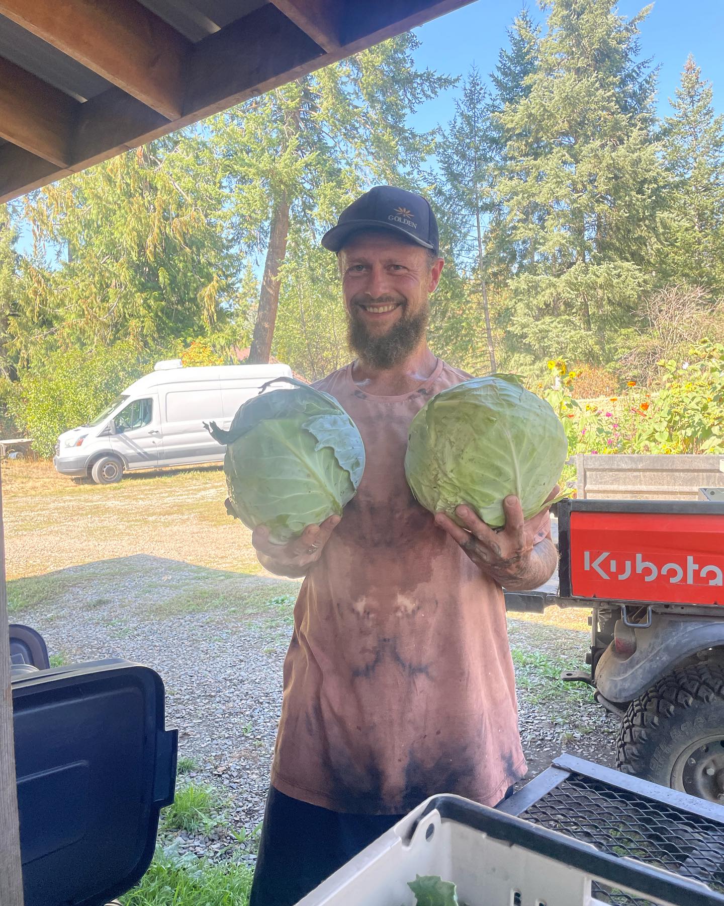 @williamj494 harvested all of our storage cabbage this week! The largest heads we’ve ever grown. And then had to capture the beauty of the leeks. Come by @farmersmarketatsandpoint to get some tomorrow!