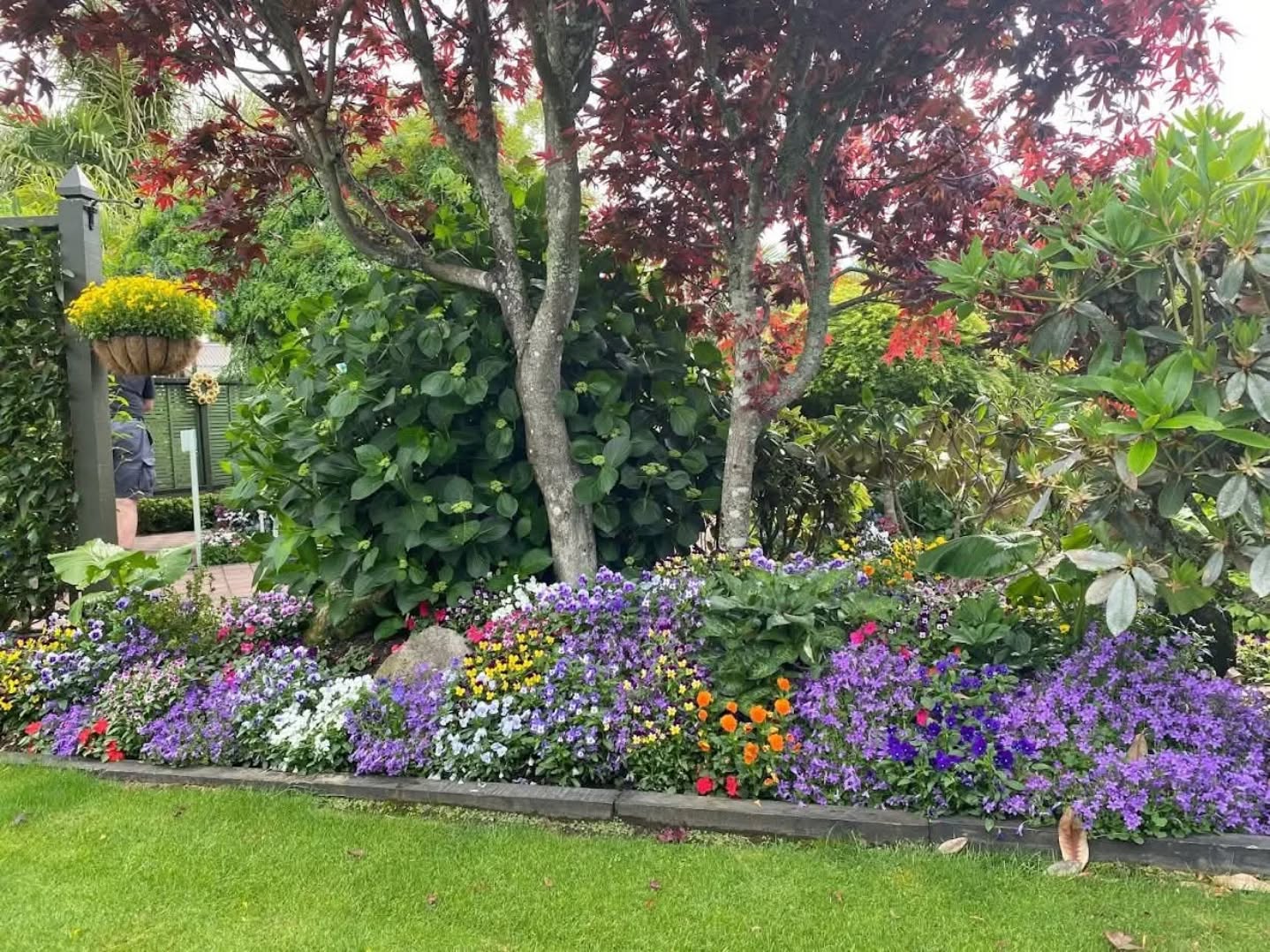 Rotorua festival of Gardens 2025
TICKETS ON SALE NOW!
ONE DAY PASSES !
Great news ! We have re-introduced the one day passes this festival!
We have a choice of 1 day passes or a 3 day pass avaliable from our website
www.rotoruagardens.org.nz
We have over 20 NEW gardens in this year's festival, with a total of over 40 gardens to visit there is something for everyone even the kids!
Tickets on sale now!
Rotorua festival of Gardens
Nov 14th 15th & 16th
#rotoruafestivalofgardens #nzgardenfestival #nzgardens #nzgardener #kiwigardener #yatesnz #palmersnz #mitre10nz #mcgregorsnz #daltonsnz #rotorua #thingstodonz #gardensnz