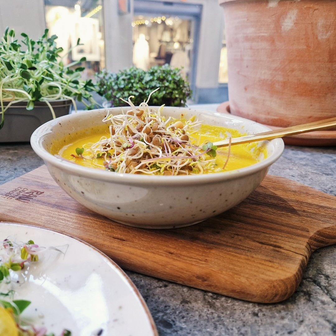 Toppa din soppa med linsgroddar 🧡
De gör soppan matigare samtidigt som du får i dig lite extra näring på ett enkelt sätt. 🌱
#linsgroddar #linser #soppa #näring #baljväxter #groddar #middag #lunch #munkagrodden #eko #ekologiskt #frånsverige #närodlat