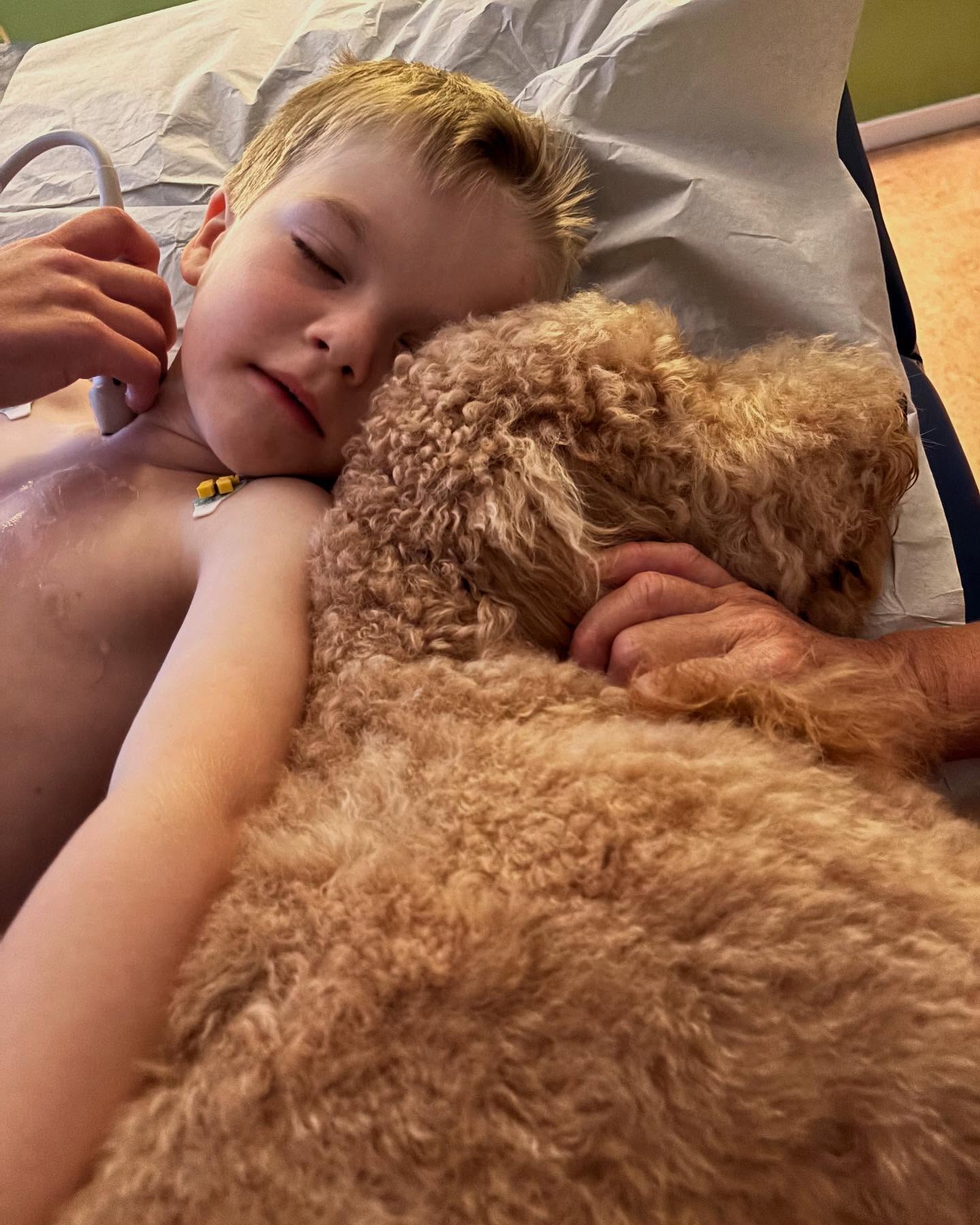 Sjukhushund - bästa medicinen när undersökning ska göras och man är sjukhushusrädd (foto med samtycke) 🙏💞🐶#akademiskasjukhuset #barncancerfonden #petson #mälarsjukhuset #barnmottagningen_mse #regiongävleborg @minaasmahjartan