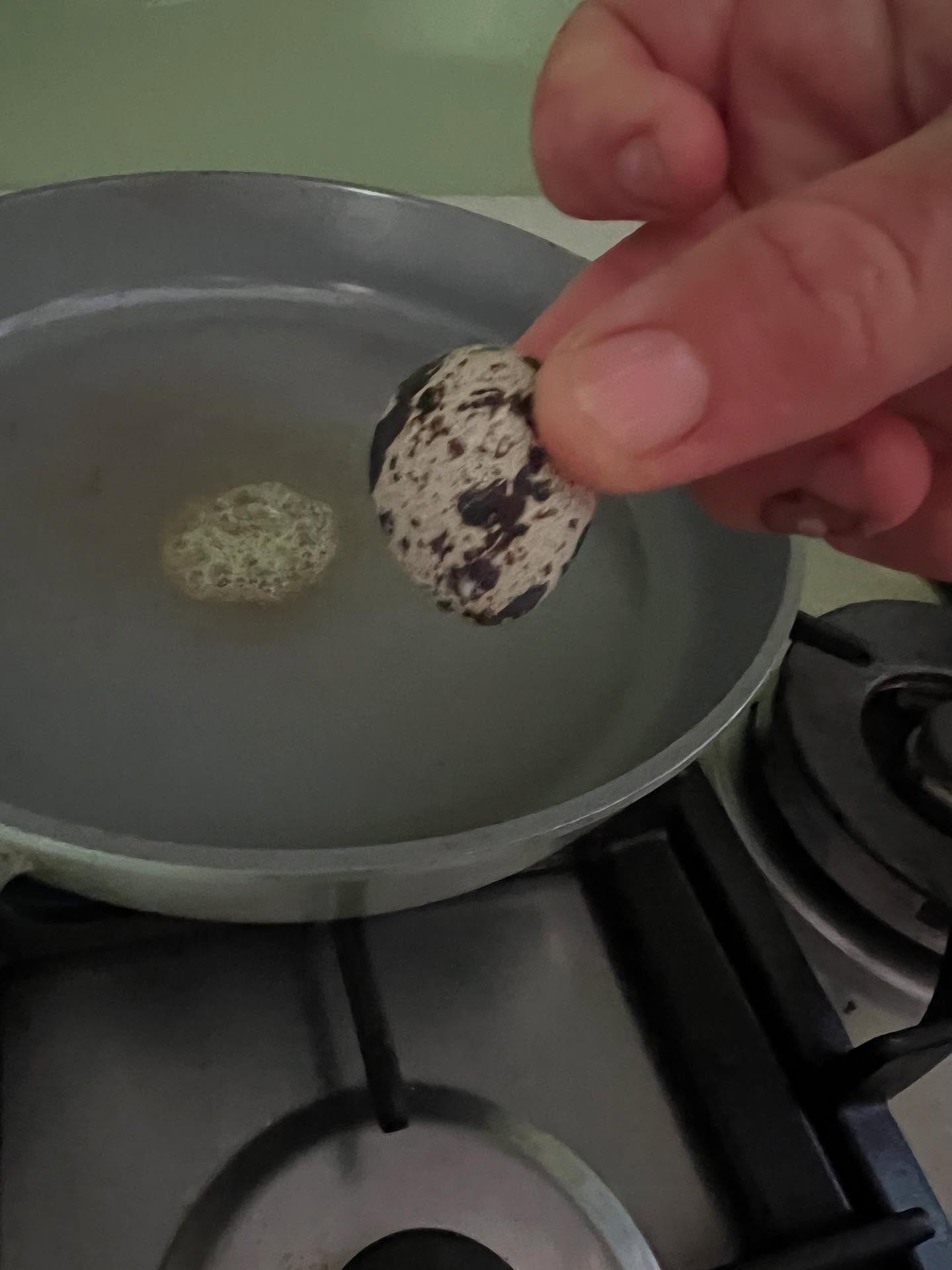 A deep reverence for the natural world as a reflection of the Tao, encourages a holistic understanding of life where all elements are interconnected. Quail eggs are surprisingly large for a small bird. We cooked up some nutrient dense food with some home made sourdough focaccia- this quail egg came from our farm. This perspective reinforces our commitment to environmental stewardship; zero carbon miles for this food!