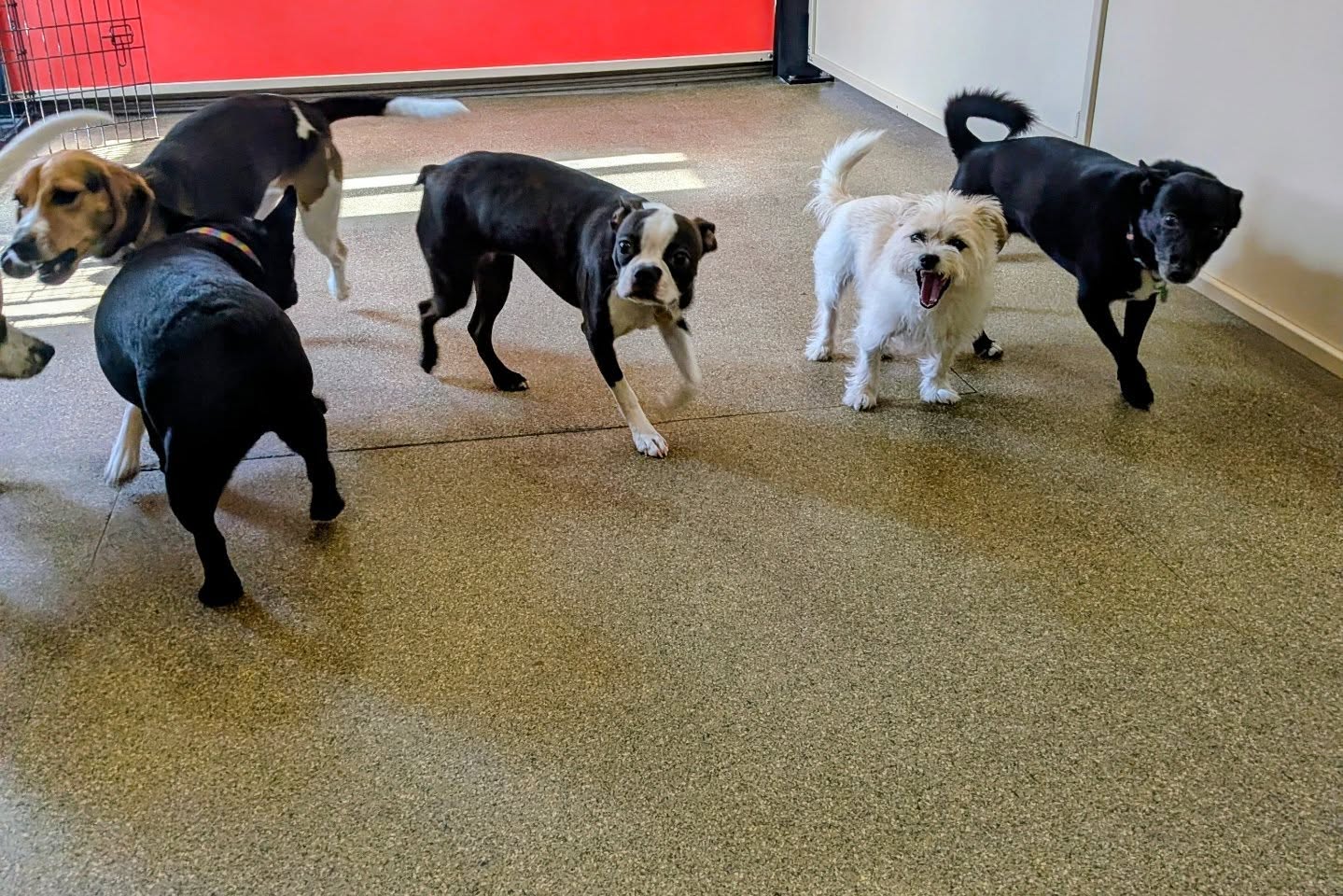 SQUAD!