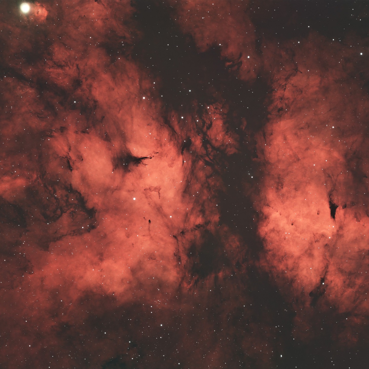 Rain stopped play for photography so time to process some astro images. IC1318 Sadr region imaged last week #astrophotography