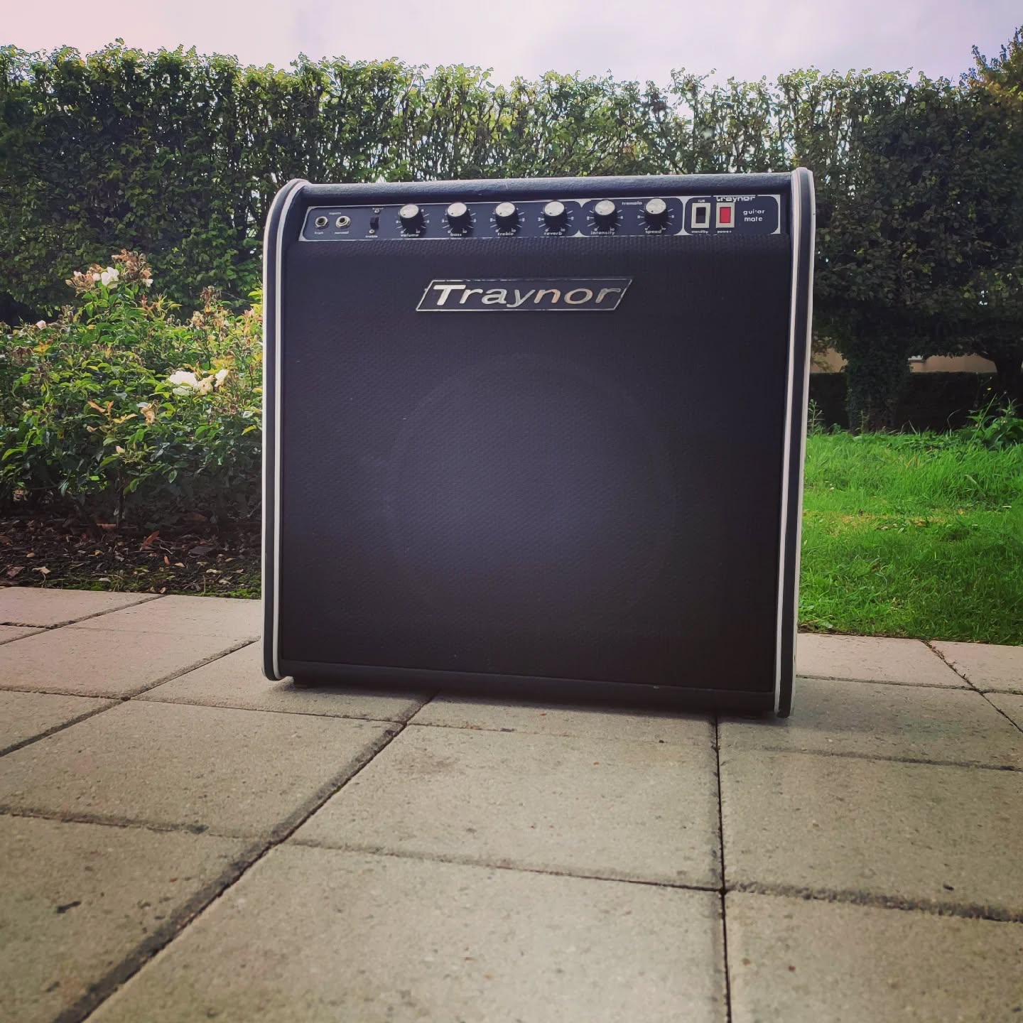 C'est pas tous les jours que l'on peut croiser un traynor en France !
#electronicrepair
#workbench
#audiorepair
#amptech
#traynorygm3
#traynoramps
#coffee
