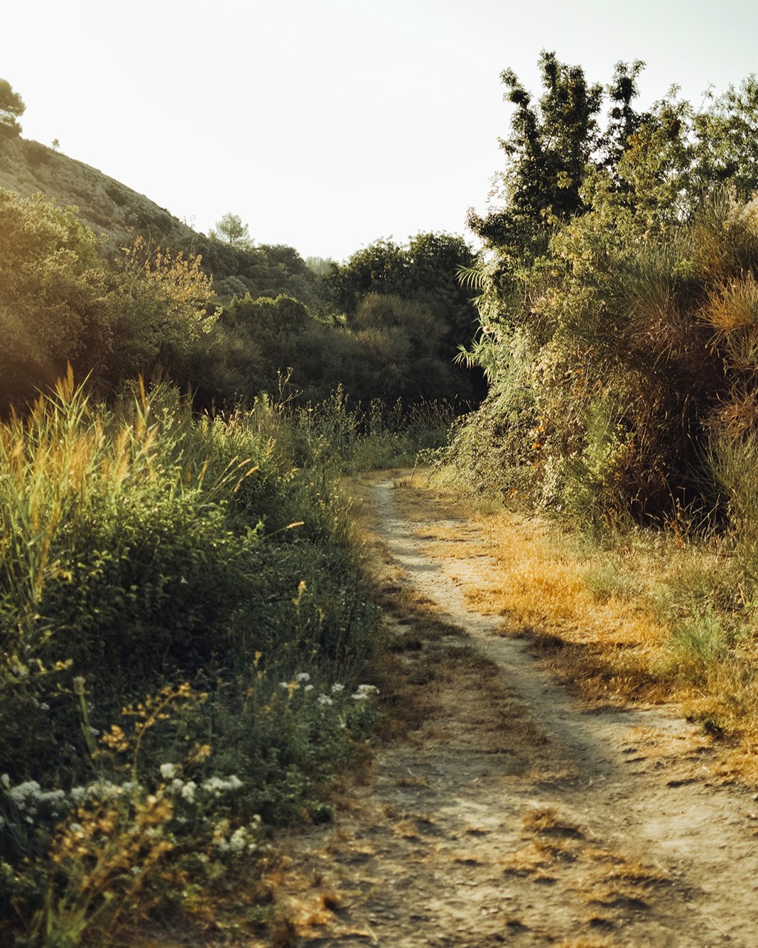 Prolonger l'été...
Un petit bout de ma Provence adorée, là où le temps semble s’arrêter et où chaque lumière est une promesse de douceur. Mon éternel coup de cœur.