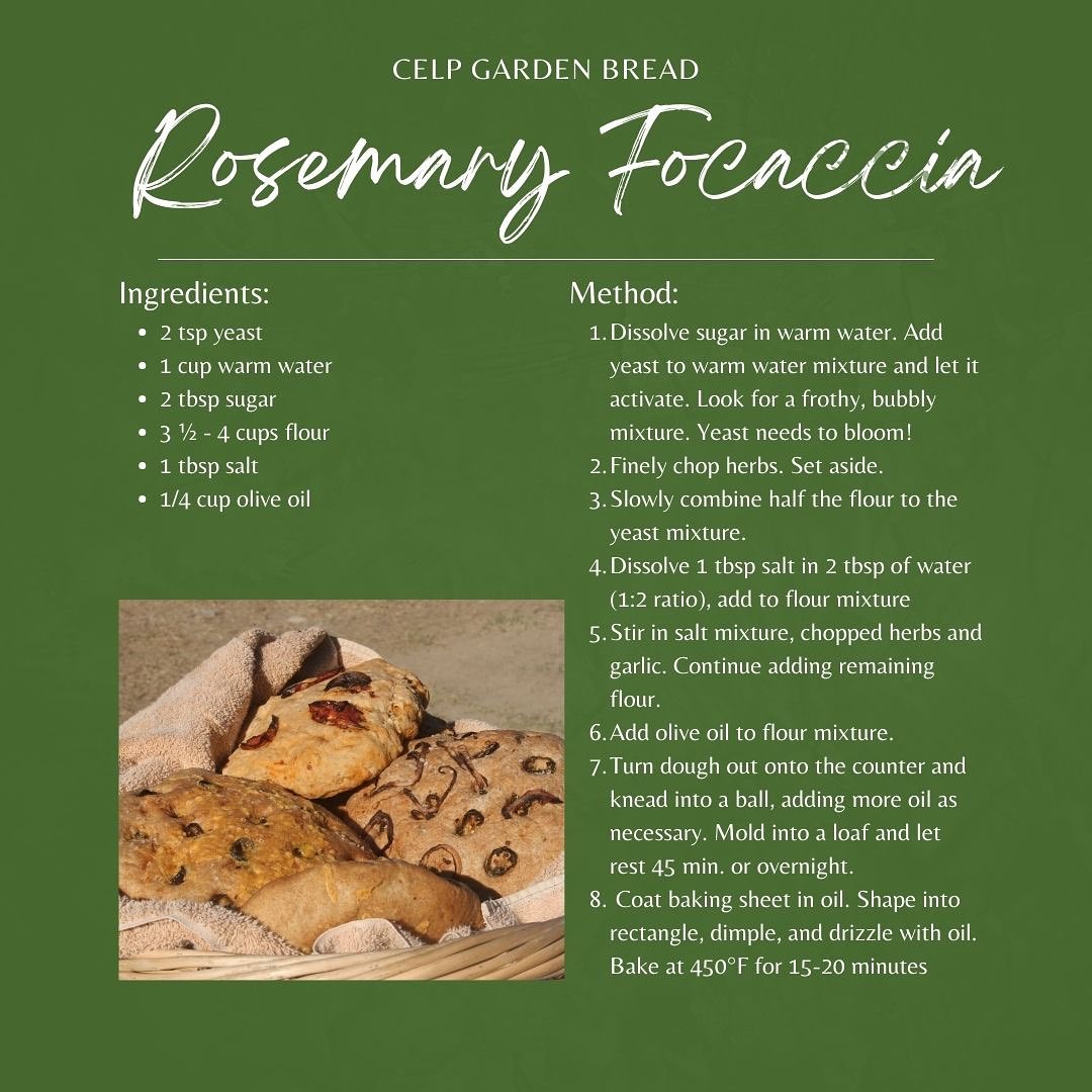 🥖 Let’s get this bread! Students have been working hard during our garden/compost program blocks, and we’ve been making bread with ingredients fresh from the garden to celebrate! 🍅🌱