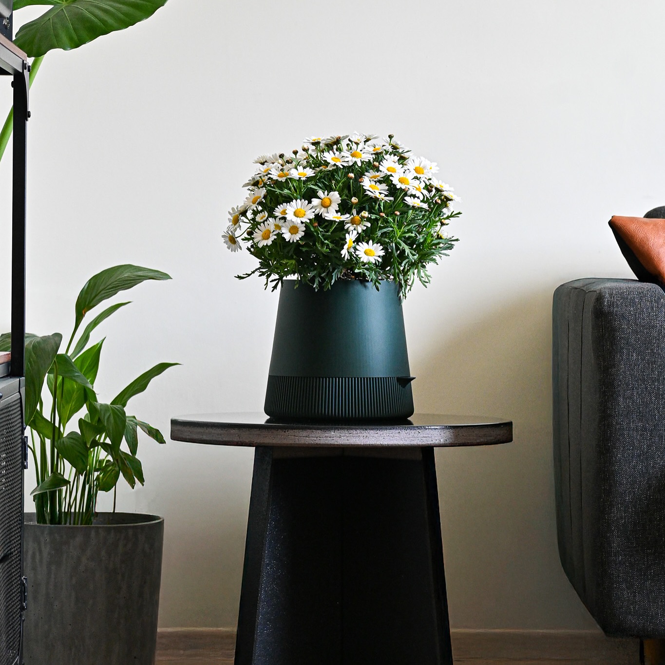 ✨ LE POT MÝRA 🌋💧
Né dans notre atelier, Mýra s’inspire des volcans islandais, là où la roche brute rencontre l’eau vive.
Son pot conique et épuré incarne la force minérale, tandis que son réservoir discret avec bec verseur assure un arrosage maîtrisé, pas de gaspillage, pas de surplus : une plante qui s’épanouit en toute sérénité.
Un design sculptural, fonctionnel et éco-responsable, pensé pour durer et sublimer vos espaces. 🌿
✨ Dimensions : Ø 19 × H 20 cm
🌍 Conçu en PLA biosourcé, imprimé en 3D avec soin dans notre atelier.
👉 Disponible dès maintenant sur www.leroydesign.fr (lien en bio)
#designstudio #plants #interiordesign #designer #madeinfrance🇫🇷 #decorationinterieure #sustainabledesign #homedesign #greenhouse #potdefleurs #bambulab #interior