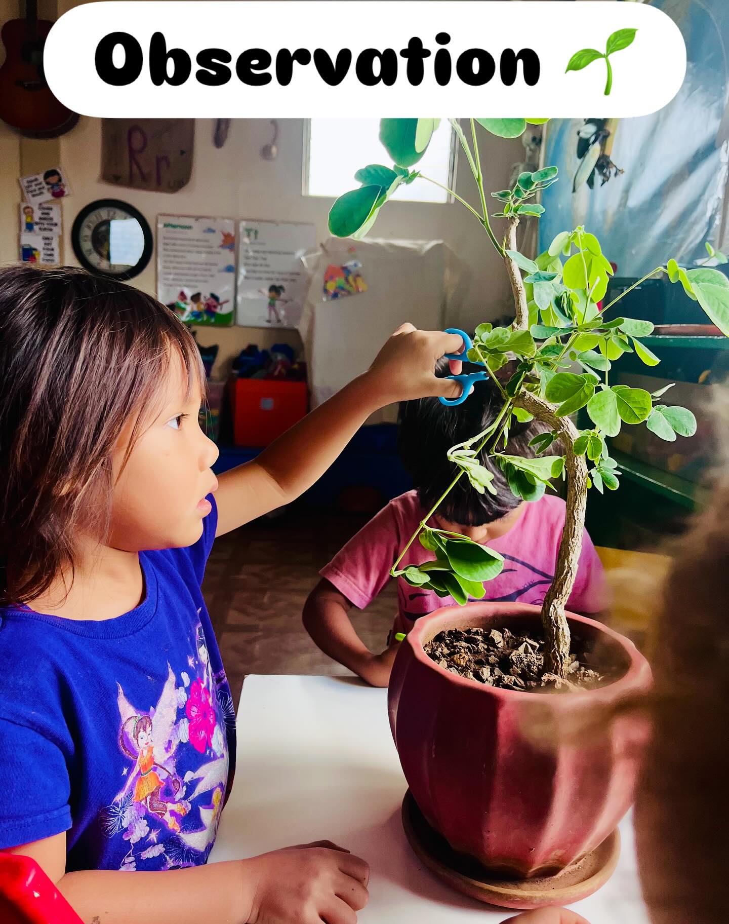 ✨ At Ka Hana Pono, even the plants are teachers.
When keiki tend to our bonsai, they’re not just pruning leaves — they’re practicing patience, care, and curiosity.
🌿 Each snip is a chance to observe closely.
🌿 Each turn is a lesson in sharing and respect.
🌿 Each conversation is an invitation to grow emotional literacy — learning how to wonder together without judgment.
Children thrive when their world invites them to slow down, connect, and notice. Here, even the simplest classroom moments hold space for wisdom. 🌺
🪴 Now enrolling for Fall 2025 | Ages 2–5 | Haleʻiwa
#PreschoolLife #PlayBasedLearning #NatureSchool #EmotionalLiteracy #Haleiwa #Waialua #NorthShoreOahu #HawaiiPreschool #AlohaInAction