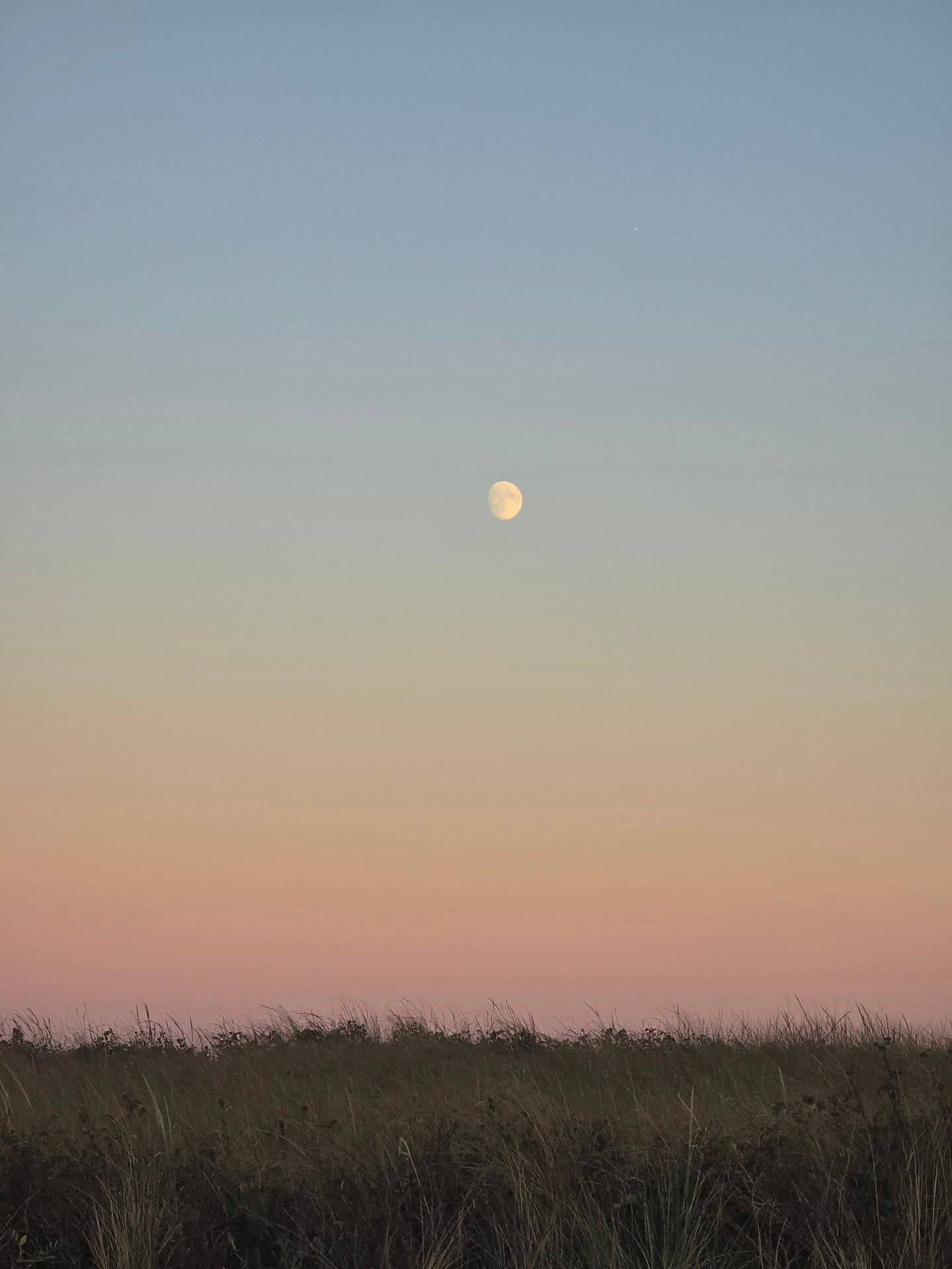 What a year it's been.
A pivotal year of soul searching and stripping my life of everything that I once thought brought me comfort. With turning 30 next month, I am sifting through the debris of who I once was to find what parts of myself I can rebuild and what parts are too broken to build a solid foundation.
After a series of windfalls and extremely unexpected shifts, it has made it easier for me to see what brings me joy, what makes me shine, what drives me to put one foot in front of the other. It has also made me see where I was leaking my energy, where I wasn't being met with the same reciprocity and where I was overextending.
I found out that I love to create moments, and I love to curate experiences to make people feel seen, safe, and memorable. I like to help others see the light within them that I was searching for within myself. I want to help perpetuate the positivity that is so desperately needed in our society, to create core memories through my services, and simply by being myself.
I may not have all the answers to my why - but I wouldn't take back the whirlwind of growth that this year has given me. I can't wait to see what is birthed from this newfound knowledge, and how many lives I can impact with my new perspective on how I can create with the intention of bringing light into other people's lives.
Stay tuned for a stunning lineup of micro wedding experiences—thoughtfully designed to make dream weddings possible for everyone, no matter the budget or financial situation. 🌙