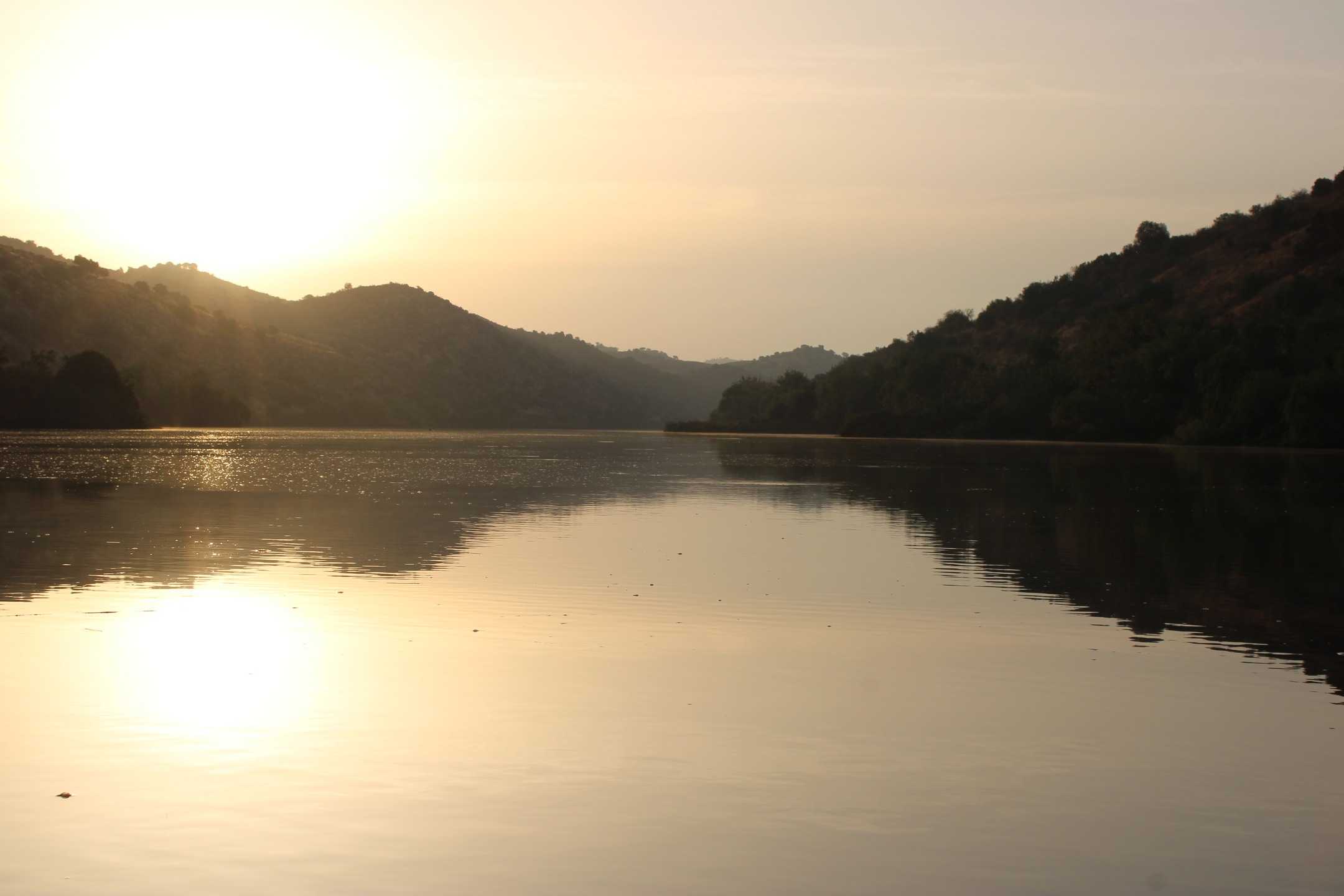 🌅 Passeio de Barco ao Nascer do Sol 🌅
Viva a magia do primeiro brilho do dia! Desfrute de um passeio tranquilo, com cores únicas no horizonte, bebida quente de boas-vindas e um ambiente inesquecível. Ideal para casais, famílias ou quem procura momentos especiais. ⚓✨