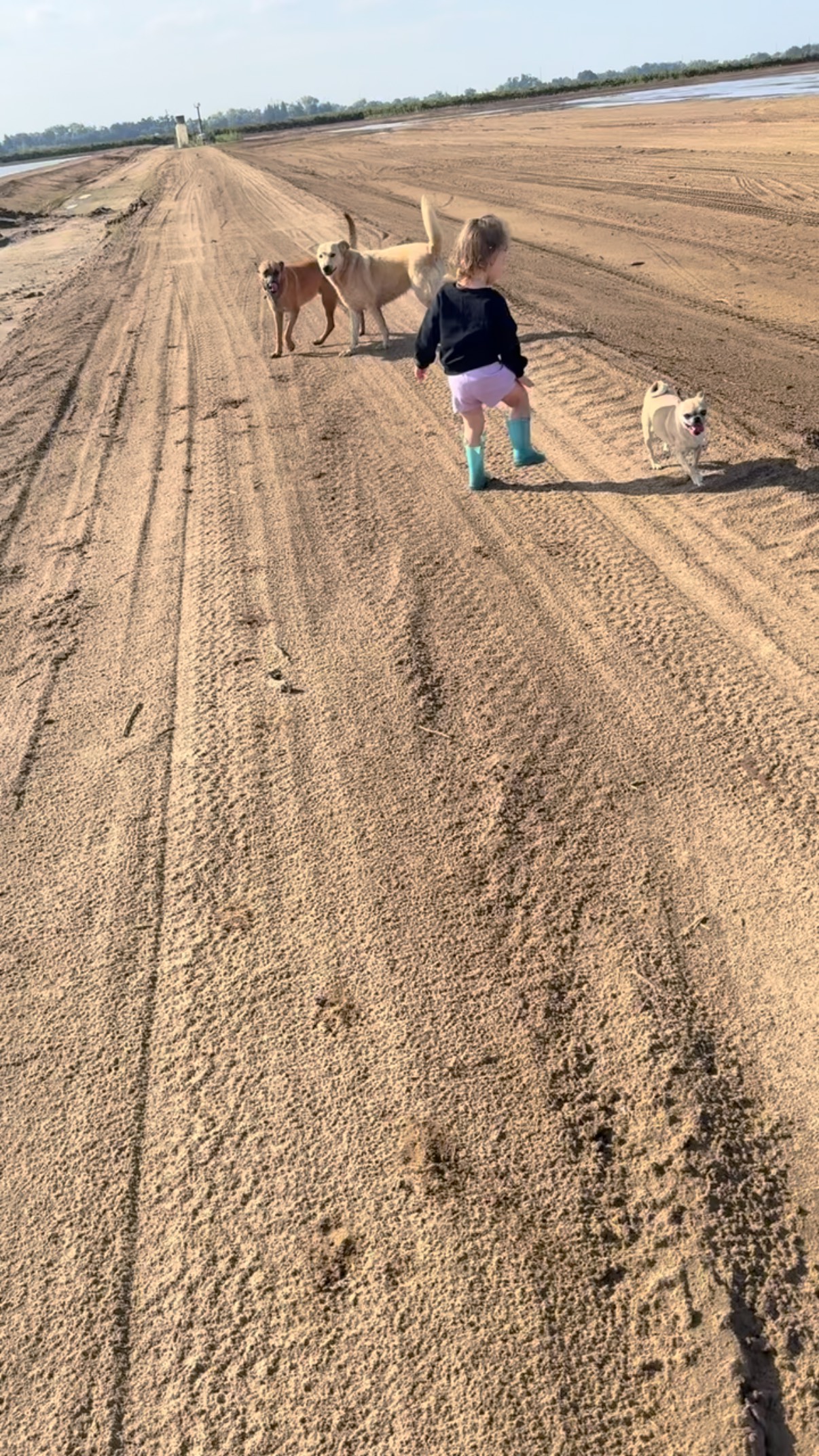 This video is raw, rough, and straight from the heart, but I couldn’t let that stop me from posting and saying THANK YOU 💜 To everyone who has supported the Always Keep Faith Foundation and helped share our message - your love means everything.
No filters, no polish, just real gratitude. Thank you for standing with us! 🤍
#MentalHealthAwareness #EndTheStigma #MentalHealthMatters #SupportMentalHealth #BreakTheSilence #YouAreNotAlone #HealingTogether #MentalHealthSupport #MentalHealthAdvocacy #MentalHealthJourney #GriefSupport #HealingThroughGrief #GrievingMother #GriefJourney #LifeAfterLoss #GriefAwareness #HealingHearts #GriefAndHealing #MotherhoodAndGrief #GrievingMothers #MothersWhoGrieve #LivingWithGrief #GriefIsLove #LoveAndLoss #AlwaysKeepFaith #StrengthThroughAdversity #YouAreNotAloneInThis #StayStrong #TogetherInGrief