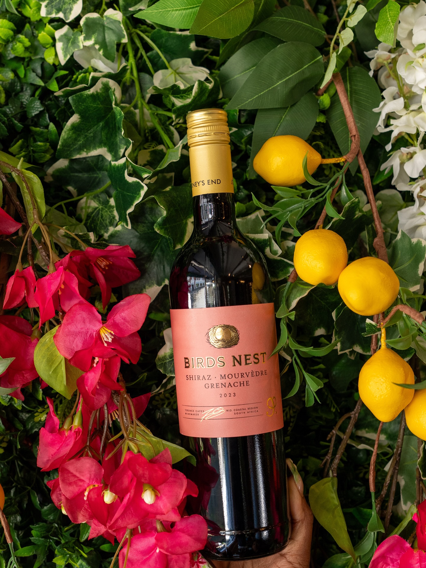 A cozy table, great food, and a glass of Bird’s Nest red wine – sounds like your kind of evening. 🍷✨ Now pouring at @mak_worthing !
#WineNight #BirdsNestRed