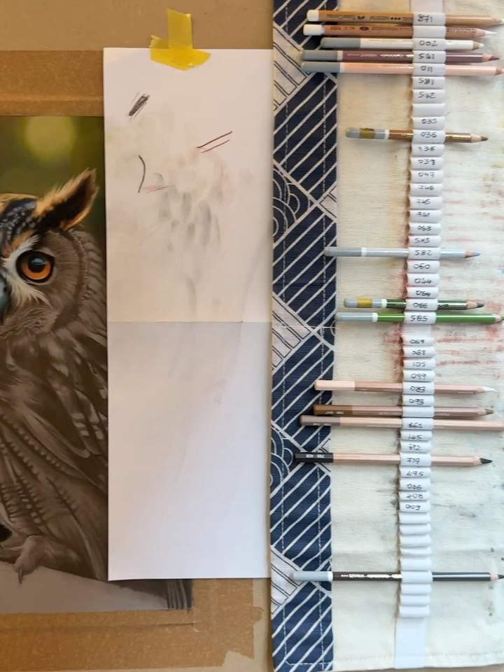 Sì è concluso domenica il workshop dedicato al ritratto del gufo con i pastelli morbidi 🦉🖍️
Un incontro divertente con un gruppo davvero fantastico!
Grazie di cuore a tutti gli studenti di Piacenza per questo meraviglioso weekend passato insieme 🙏🏻
#pastello #pastelli #softpastel #softpastels #pastel #pastels #carbothello #softpasteldrawing #pasteldrawing #drawing #hyperrealism #iperrealismo #disegno #disegnare #workshopdisegno #corsodisegno #scuoladisegno #accademiadisegno #alessandrapagliuca