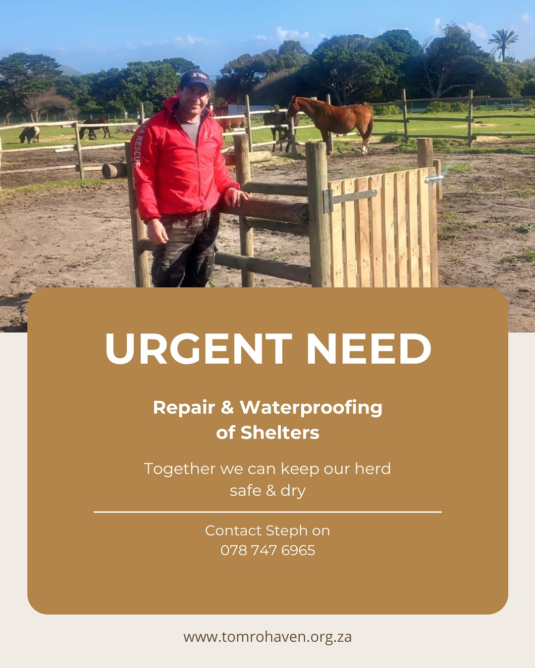 🐴 Our horses need your help! 🐴
Right now, our herd’s shelters need urgent repairs and waterproofing to keep them safe, dry, and healthy 🌧️💛
👉 Swipe through to see how YOU can make a difference:
🪵 Donate building materials
🛠️ Lend your skills as a builder/handyman
📋 Join our database of trusted builders
💴 Donate financially
💙 Every bit of support helps us protect our horses — who, in turn, bring healing to vulnerable children.
Thank you to helpers like Terry and Reiner from Dupies Home Maintenance for making a difference, but would love for more people to call on 💪🏼🛠️🪚
📩 DM us or contact Steph on 078 747 6965 to get involved.
Together, we can keep our herd safe & dry! ✨
#TomRoHaven #HowYouCanHelp #HealingThroughHorses #HorseRescue #CommunitySupport