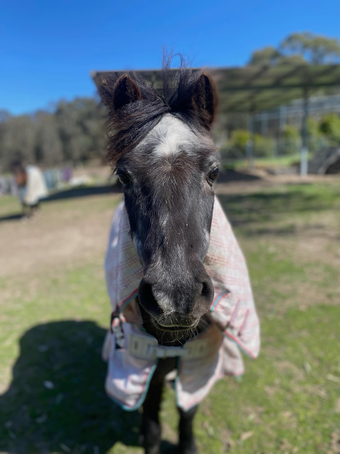 Our cutest boy STAR ⭐️💙