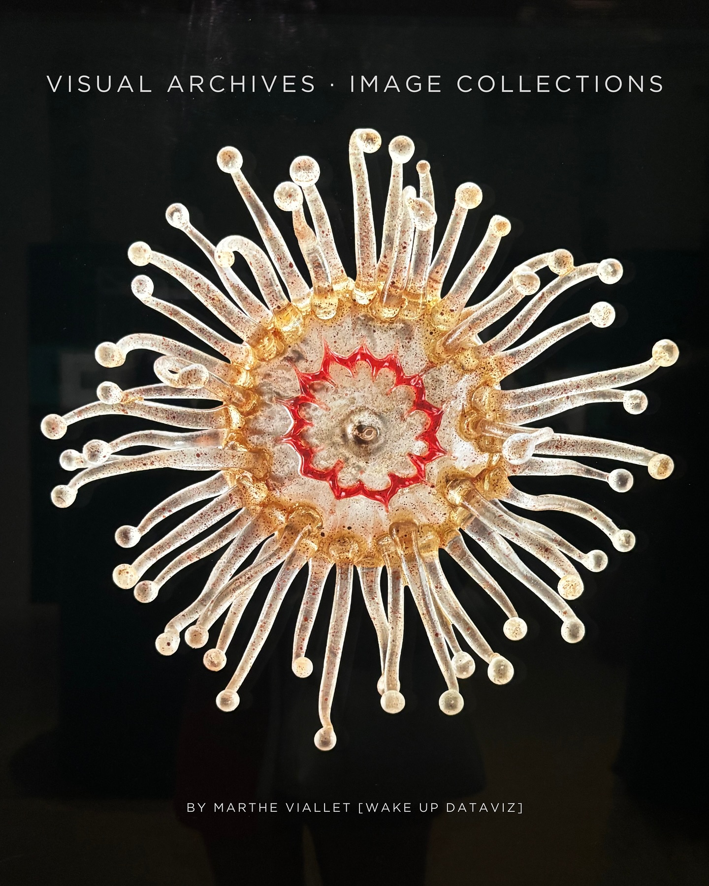 Exhibition closed yesterday ⸺ “Deep Blue, the Ocean Revealed” at @franciscaines.deauville in @deauvilleofficial, France (curated by Jean de Loisy).
🔵🔵🔵🔵🔵🔵🔵🔵
I loved this exhibition.
These photos of marine life with their circular forms completely amazed me — both precise and visually striking.
Sometimes I wonder if we even need “art”: science already creates incredible images.
It also reminded me of Kirell Benzi’s work (@kirellb) turning complex data into visual marvels.
📂 Visual archives — #ArtAndScience #wakeupdataviz #artandscienceexhibition