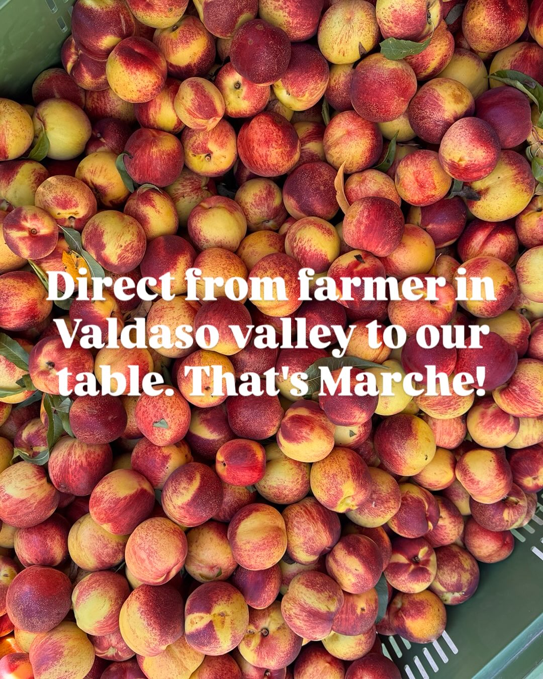 Valdaso, the garden of the Marche