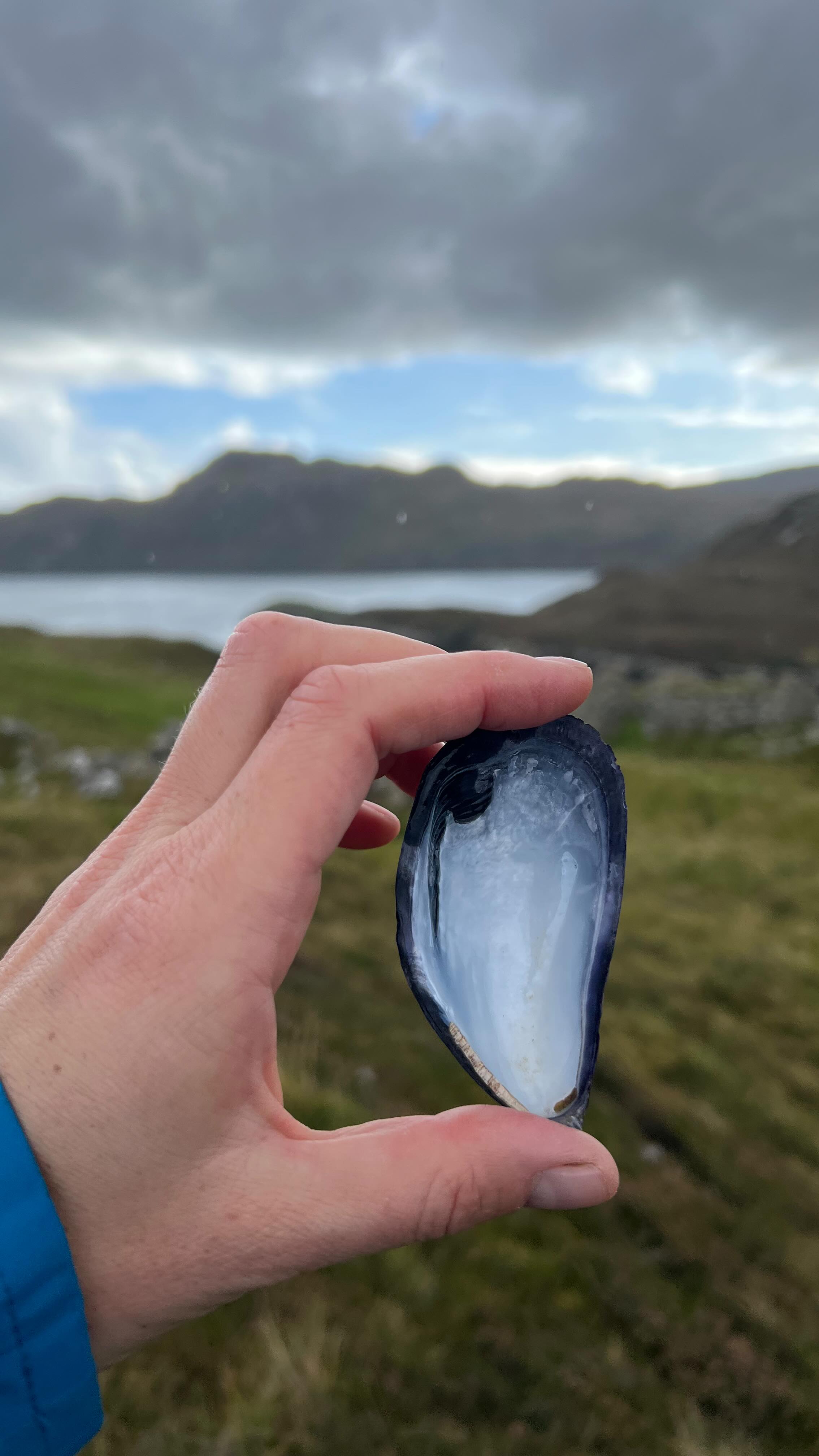Orasaigh
Giearol
Loch na Mnà
Màs Cruinn
Tòb Stìomrabhaigh
Stìomrabhaigh
Loch Shaghachain
#gàidhlig #placebased #eileanleòdhais #isleoflewis #walkingarist #gaelic #waysofseeing #lèirsinn