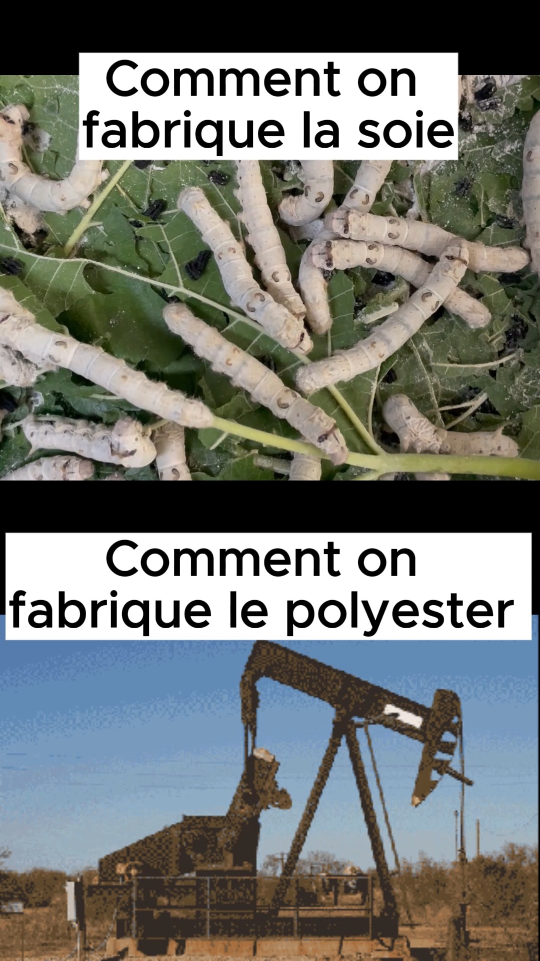 Pourquoi porter du pétrole transformé en habits, quand on a des vers à soie ?
#madeinfrance #hautecouture #cévennes #picsaintloup