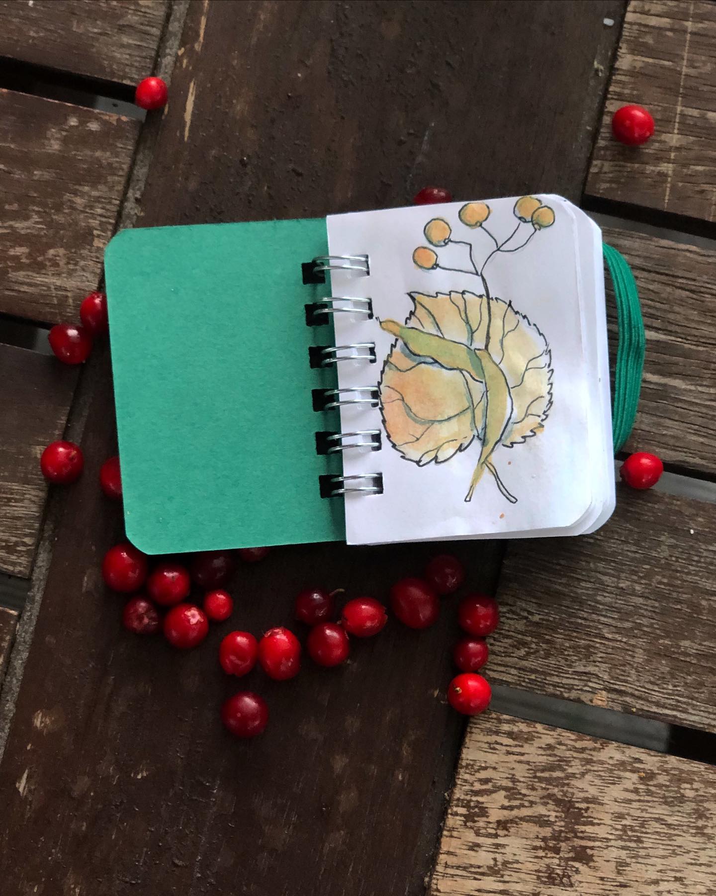 Little things of September
#littlethings #inspiration