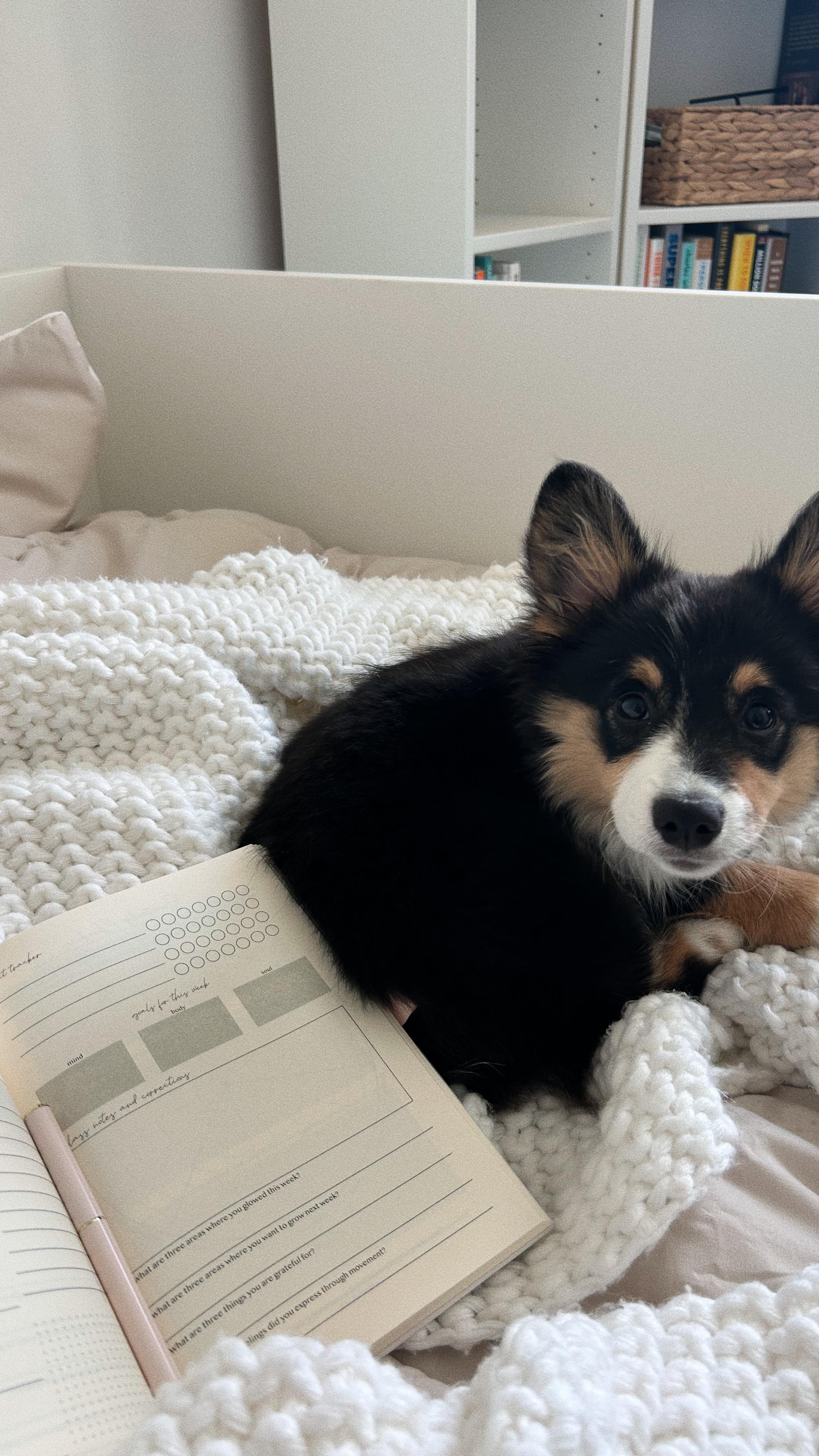 grateful for every moment and opportunity that has brought me to where I am now