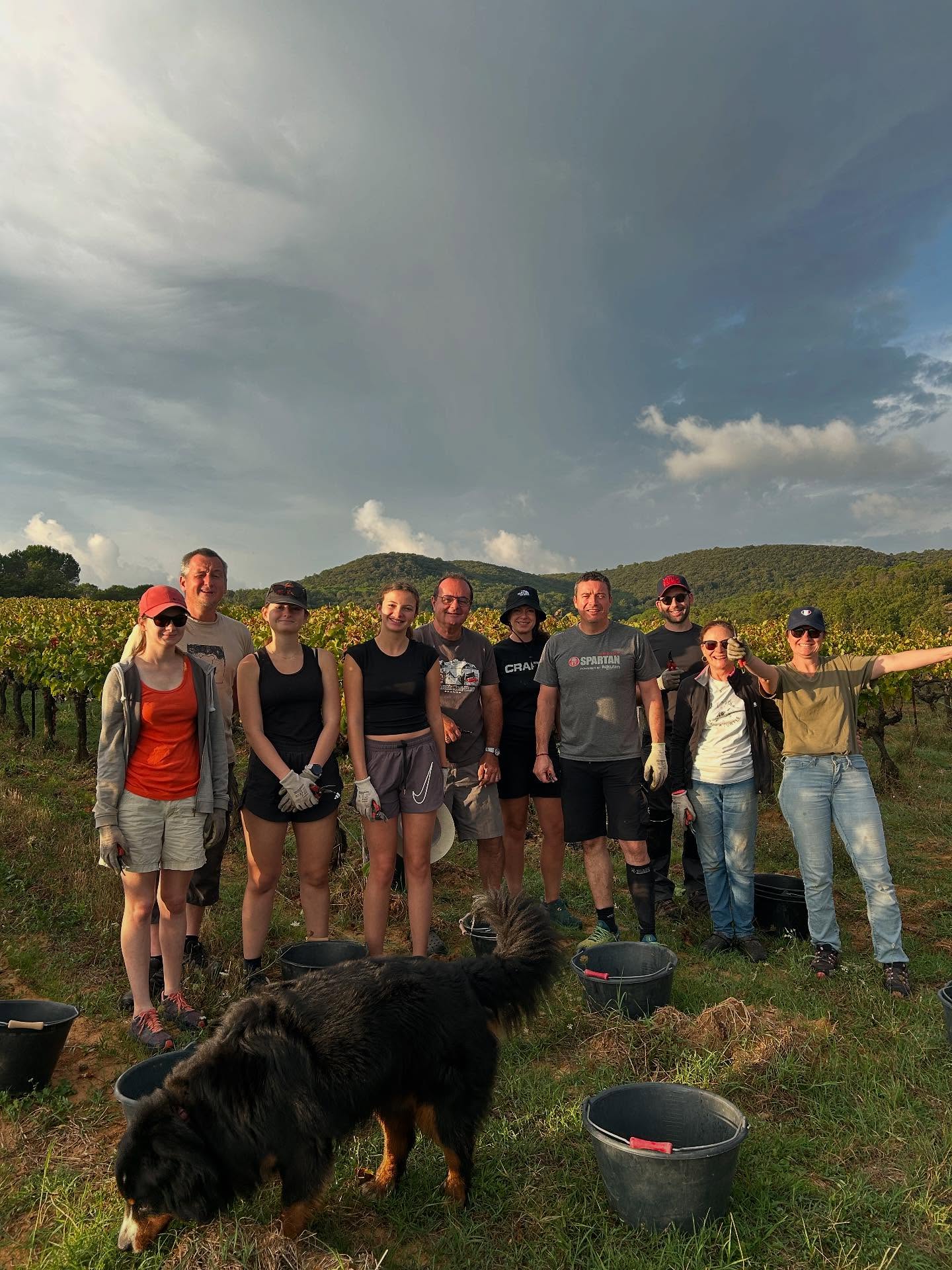 VENDANGES #2
Un nouveau week-end de vendanges bien rempli, 4 tonnes de raisins récoltés avec amour et mis en cuve par la famille
#domaineviticole #vignoblefamilial #vendanges #vendangesenfamille #gard #sabran #cotedurhône