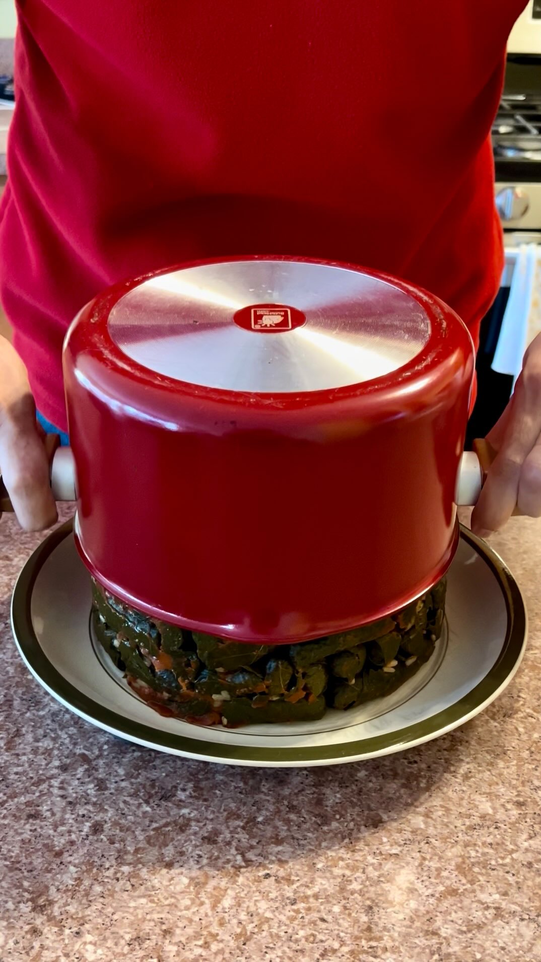 Grape Leaves Mahshi Flip