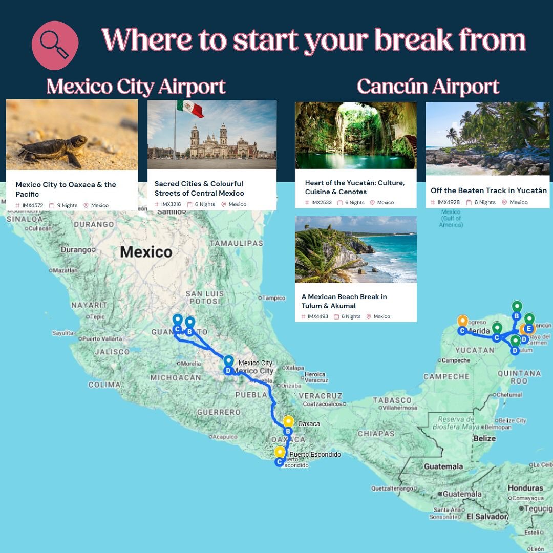 🇲🇽 NEW! Private touring in Mexico 🇲🇽
Ever wanted to explore beyond the tourist hotspots in Mexico? With Not in the Guidebooks new private tours, you can do exactly this - discover the country’s rich culture, vibrant flavours & unforgettable experiences 🌊🌮🎶
✨ Trip Highlights:
🗿 Wander the ancient ruins of Teotihuacán
🌮 Taste & cook authentic Oaxacan food
🐢 Release baby turtles into the Pacific at sunset
🌌 Swim among bioluminescent plankton
🥘 Cook Yucatecan dishes with locals
🔥 Join a sacred Mayan temazcal ceremony
🏛️ Explore Chichén Itzá & Uxmal
💧 Swim in hidden cenotes & discover Mayan bee rituals
💡 Why you will love these trips
✔️ Private itineraries with expert local guides
✔️ Authentic, immersive experiences in every destination
✔️ Perfect to package with a beach holiday or a USA stopover
All can be tailored to your requirements so please get in touch for you ultimate Mexican adventure!
☎️ or WhatsApp 01282 854143
#personaltravelagent
#travelcounsellors
#notintheguidebooks