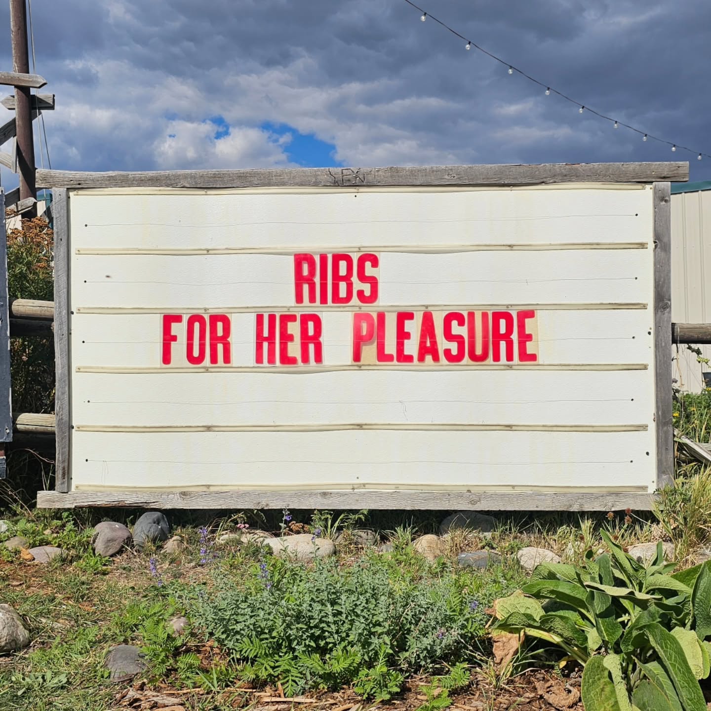 Two sizes waitwait i mean types. Two types. Both very pleasurable to the ole palate.
🤣
Spare Ribs - bigger, meatier, better. Or baby Backs Ribs - Smaller, still delicious, .and popular by a mid 90's Chilies song and an Austin Powers movie.
🤣
We've been shut down on sign ideas before but somehow this made it past HR.🤣
🍻
Sign #funny #ribs #bbq #spareribs #babybackribs #haha